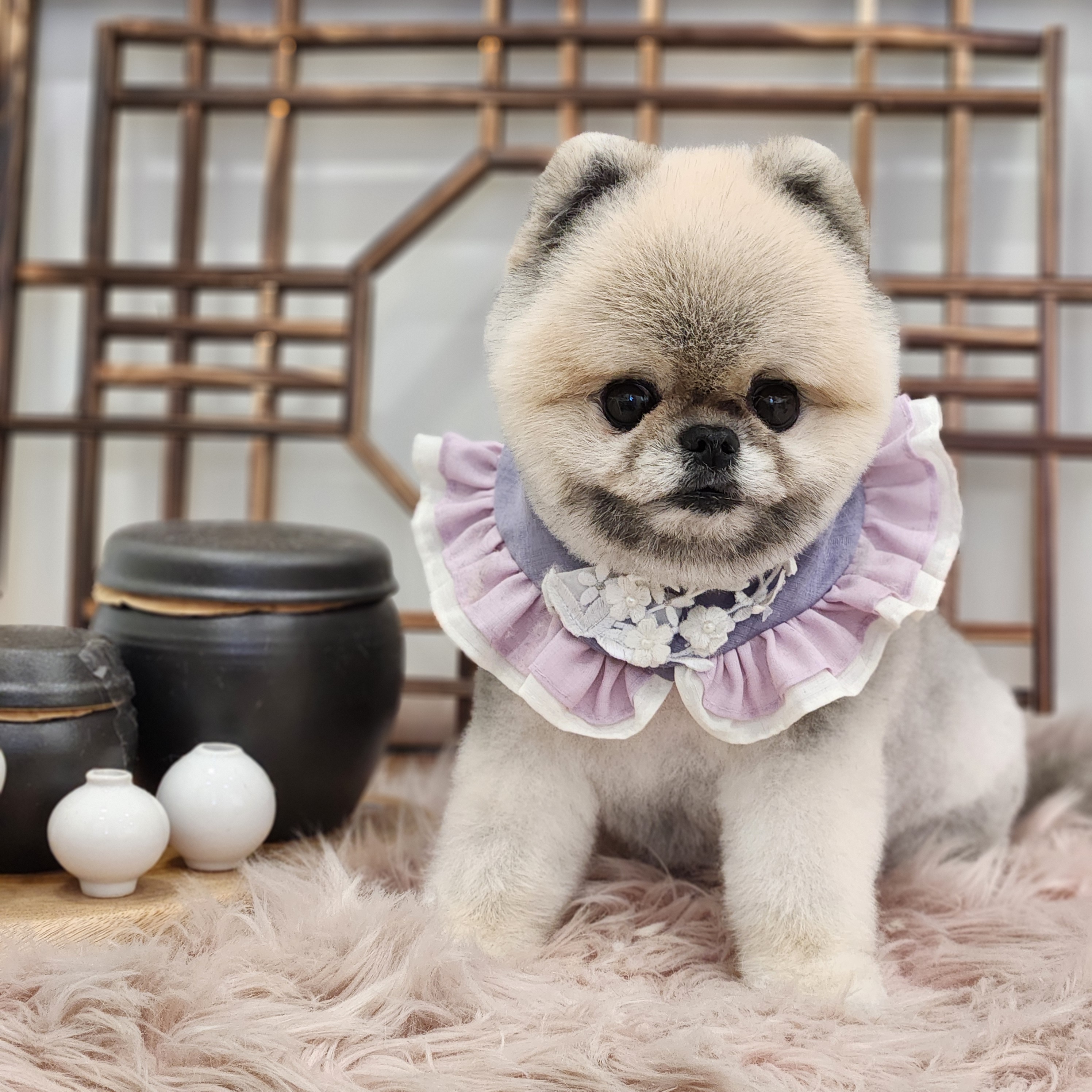 보앤벨 대표 이미지