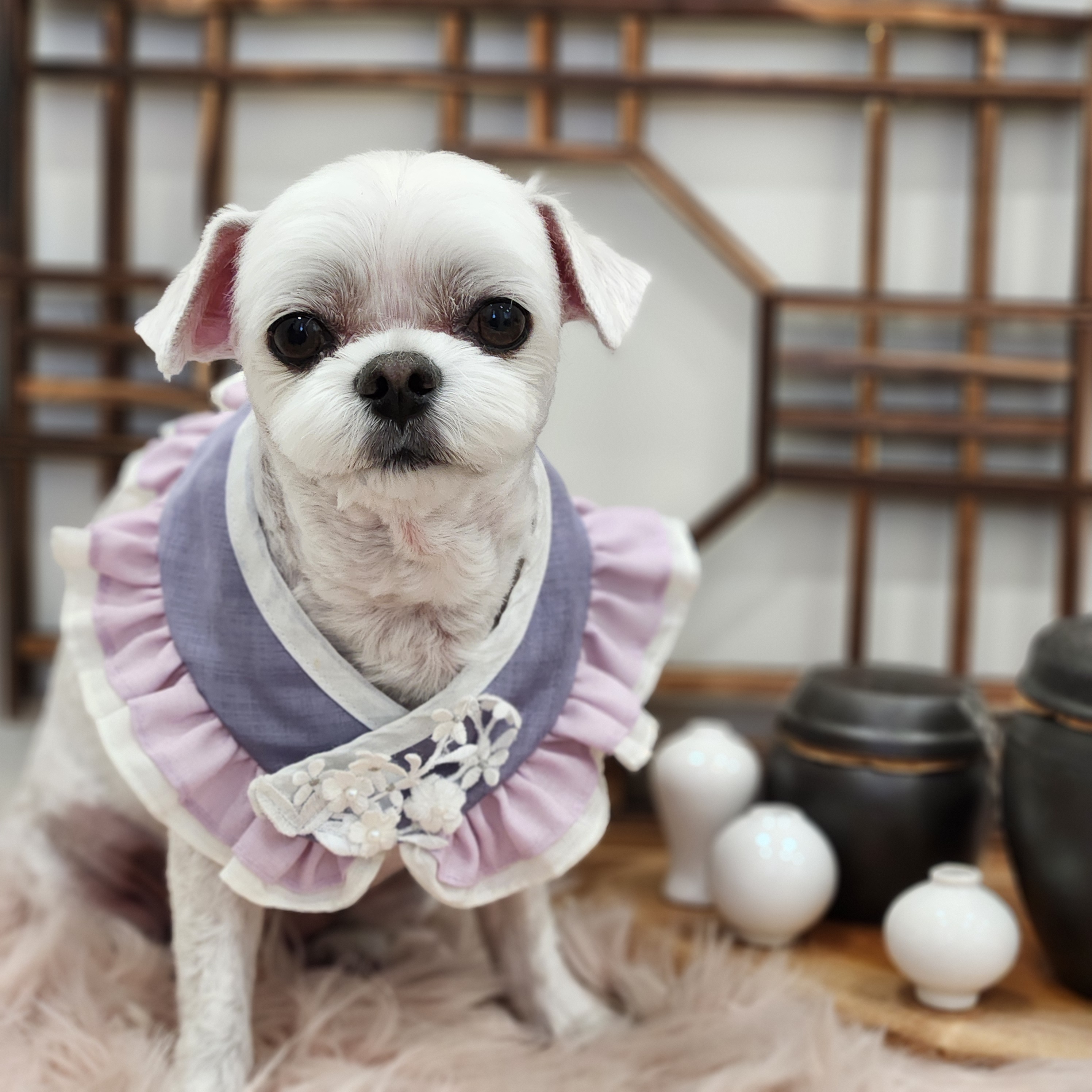 보앤벨 대표 이미지