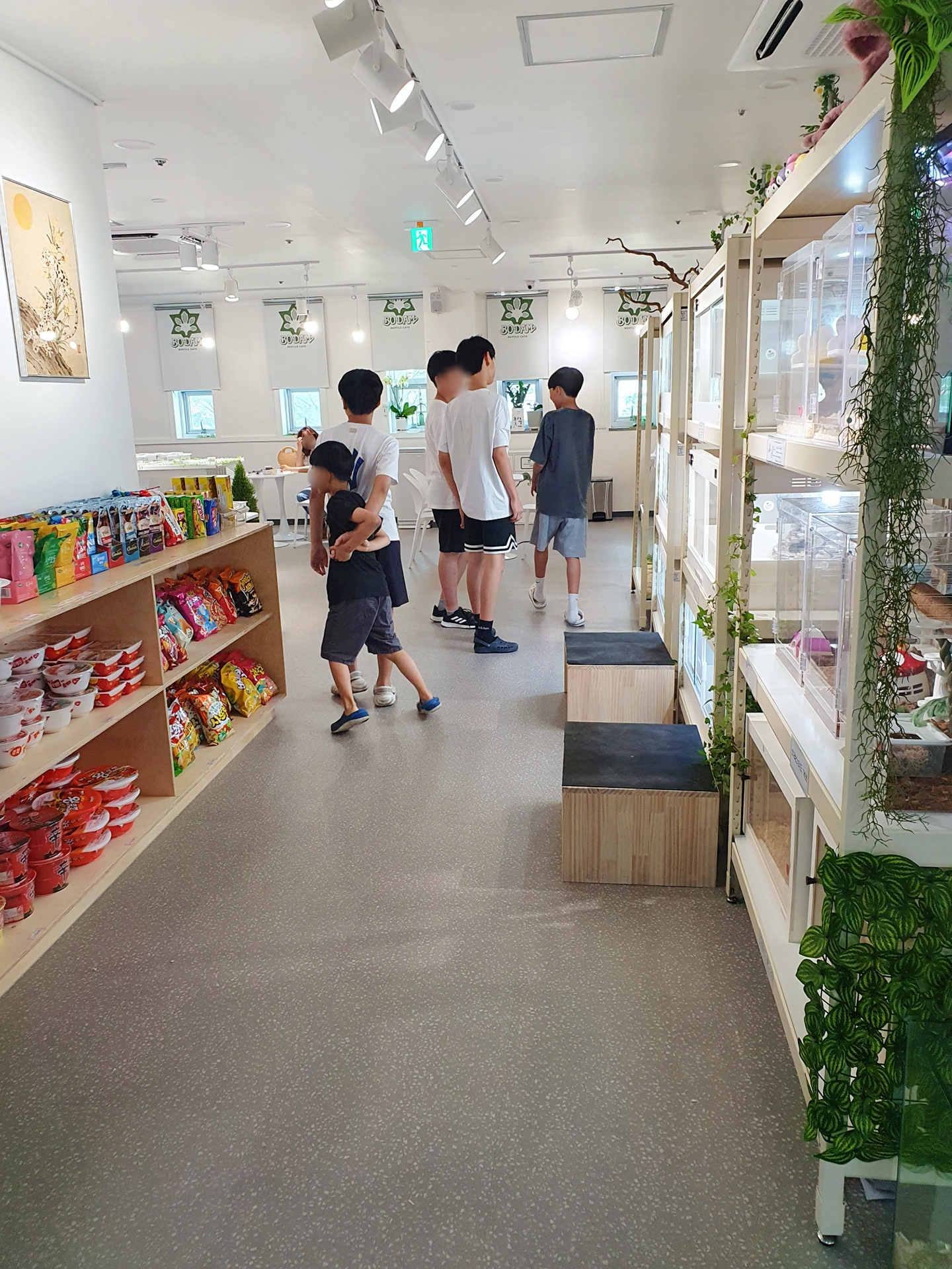 파충류카페보담 반려동물 동반 애견카페