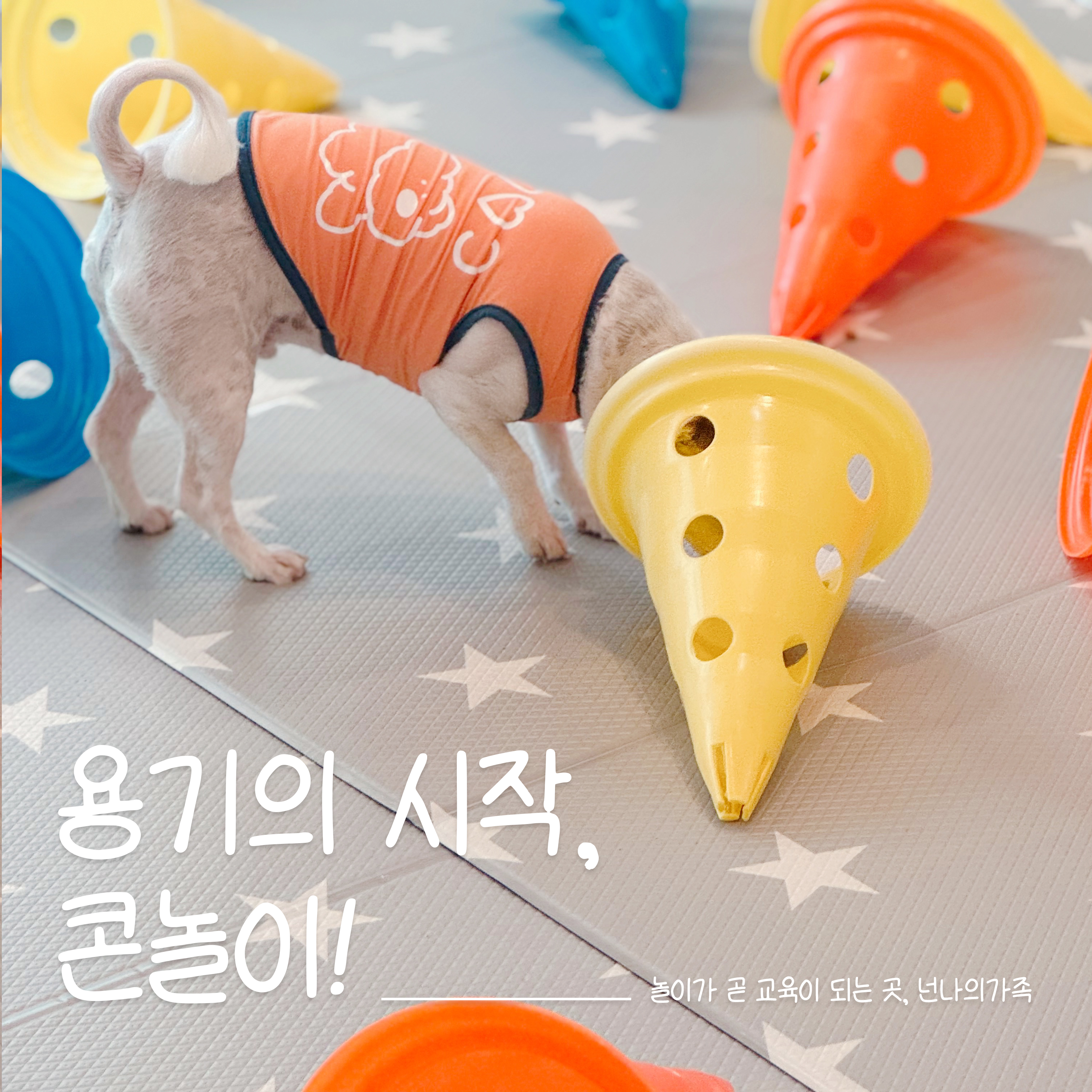 넌나의가족 대표 이미지