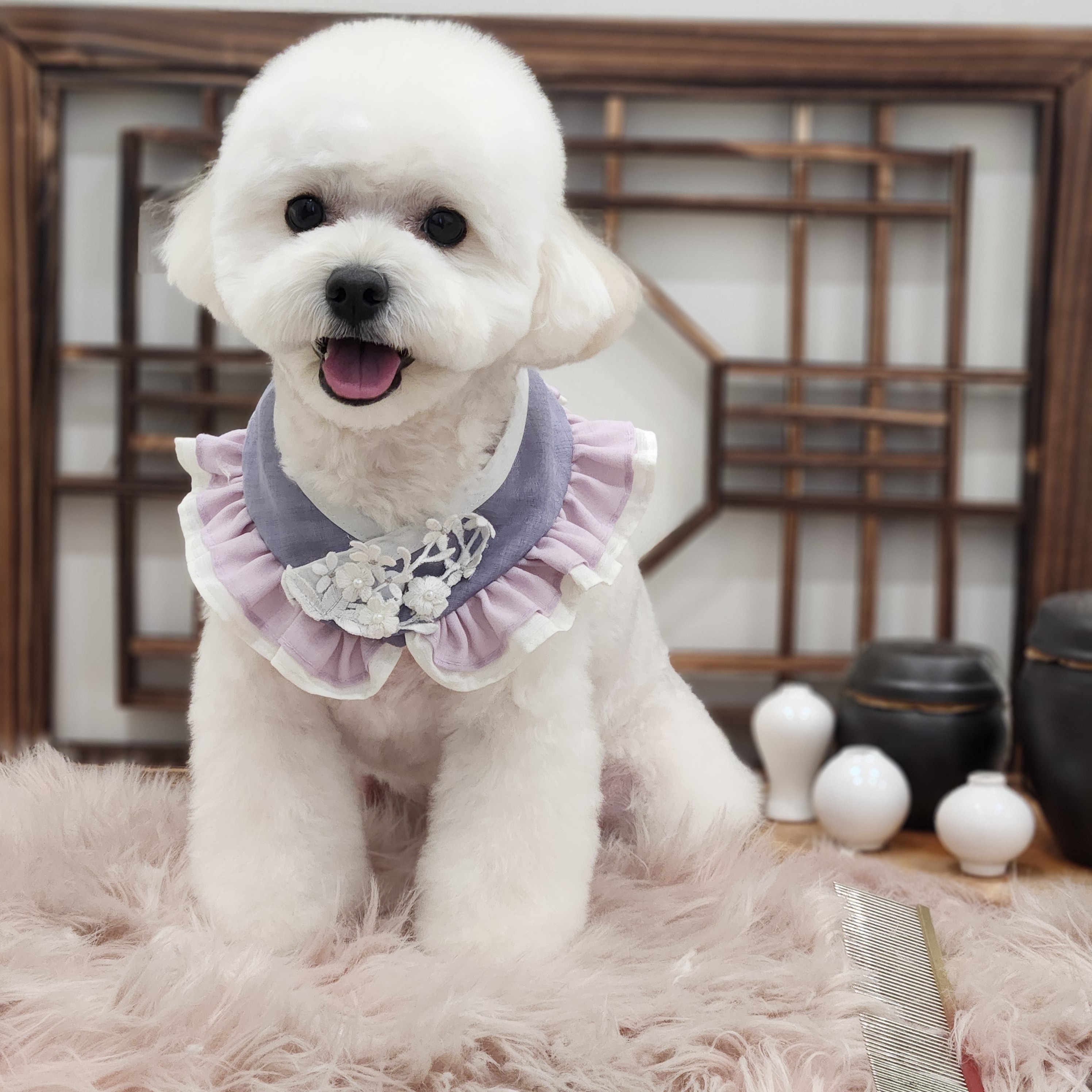 보앤벨 대표 이미지