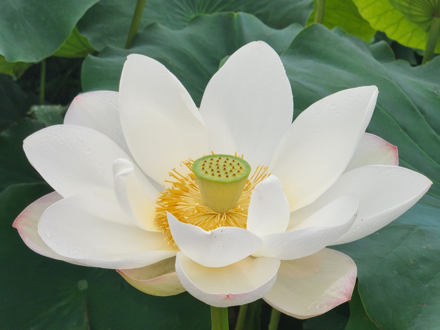 더블유힐링센터 대표 이미지