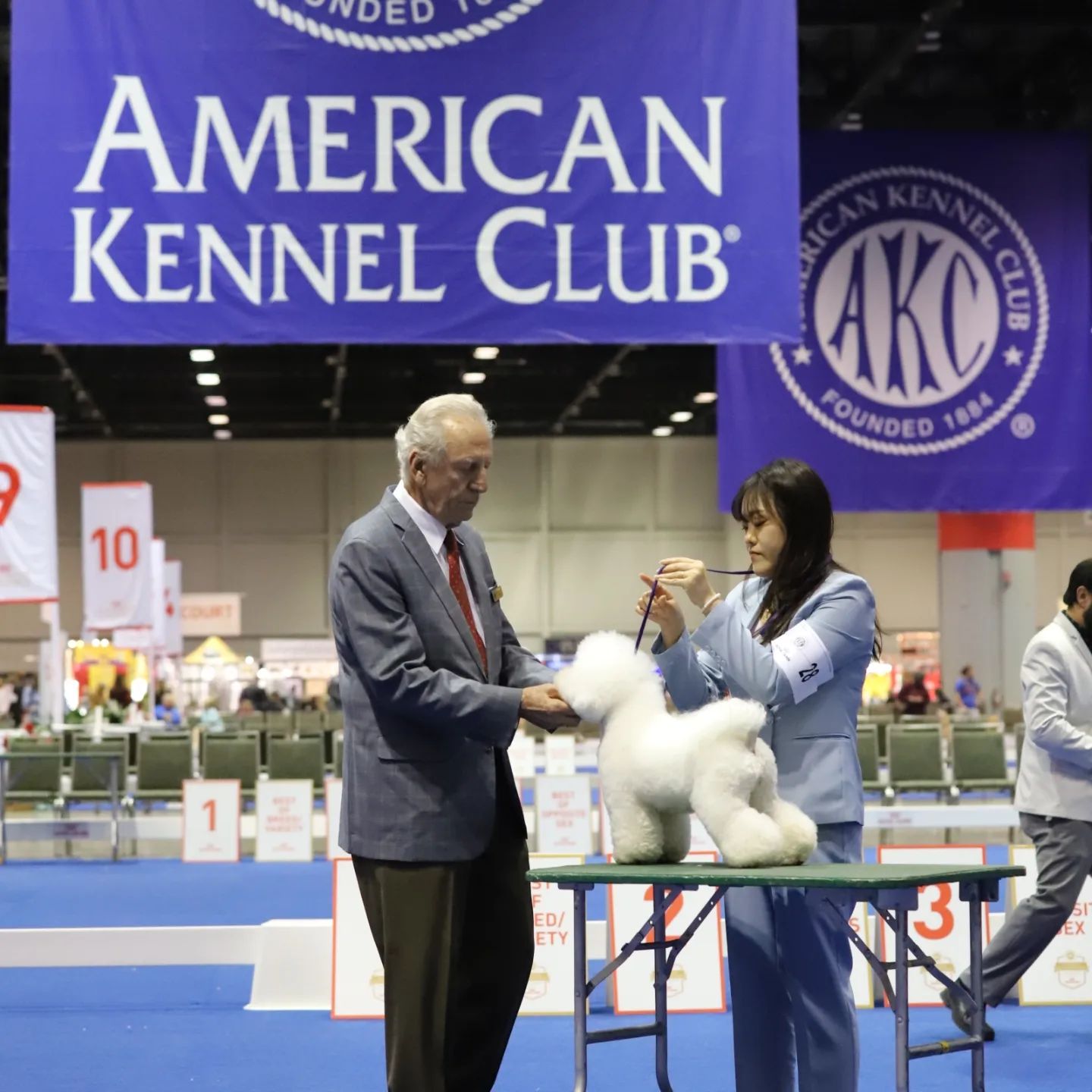 올웨이즈반려견미용실 대표 이미지