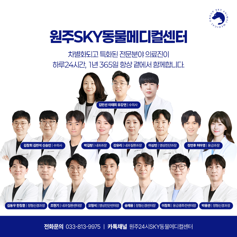 원주24시스카이동물메디컬센터