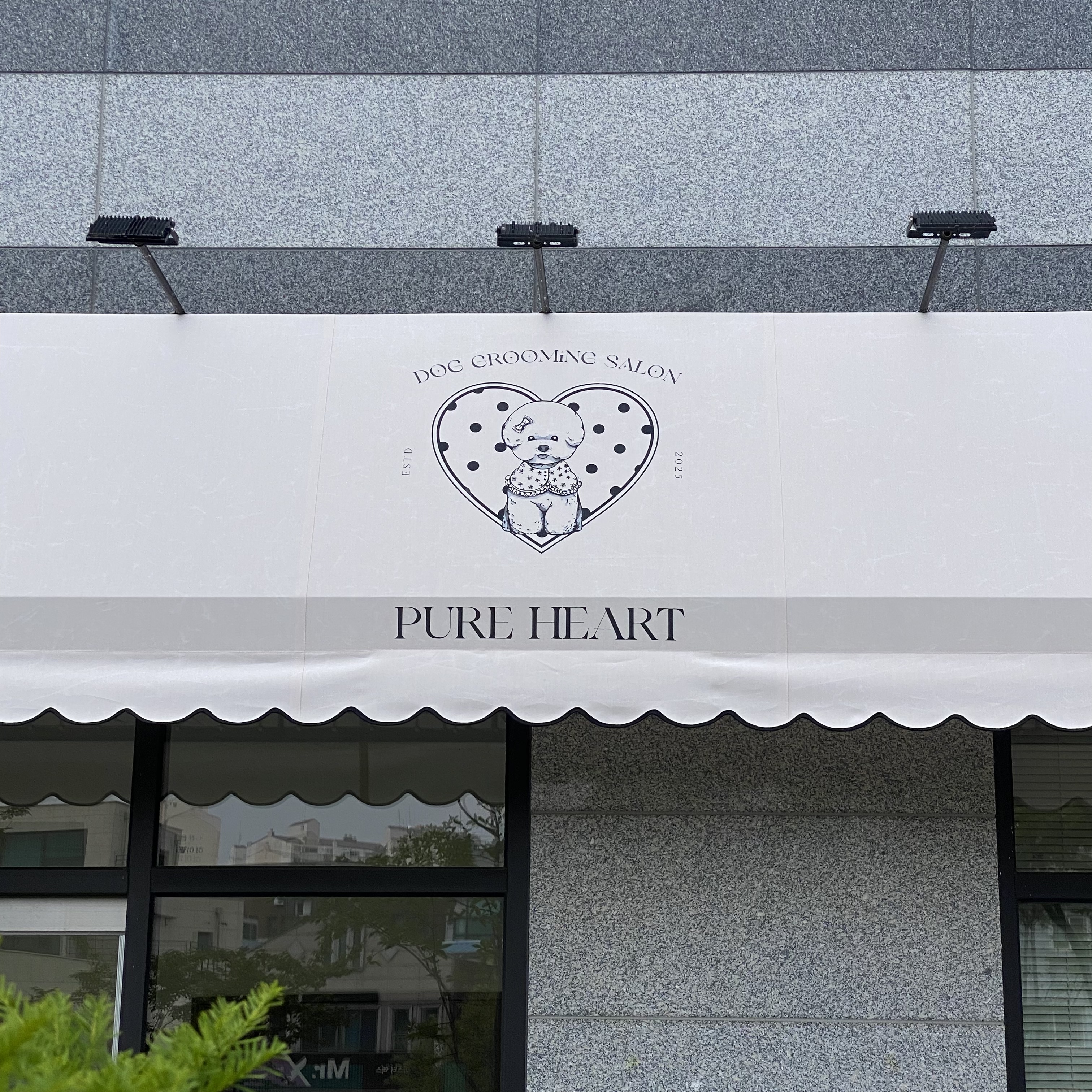 퓨어하트 대표 이미지