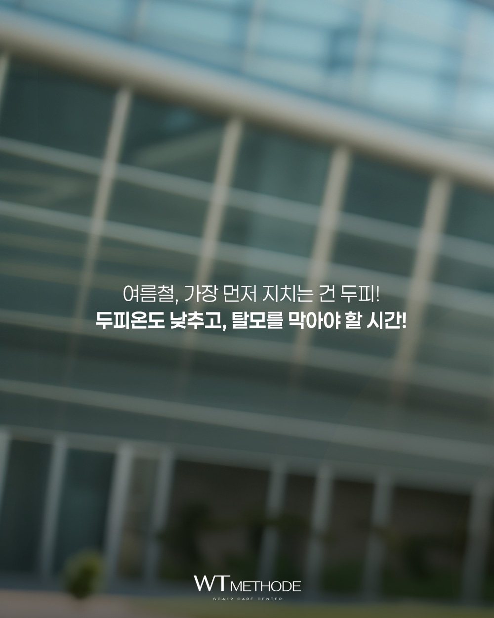 WT메소드 전주점 대표 이미지