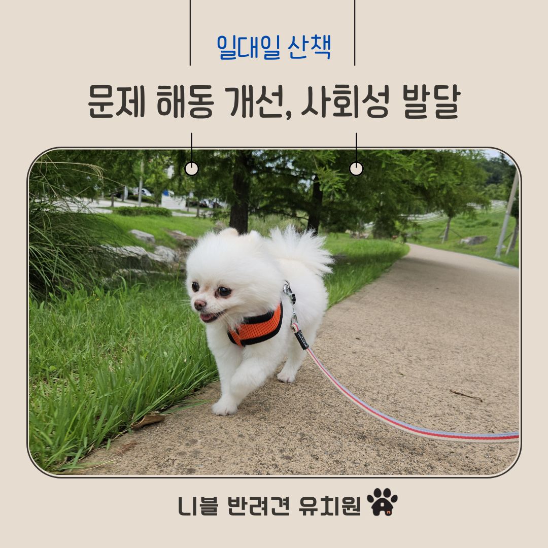 니블 강아지유치원&애견호텔