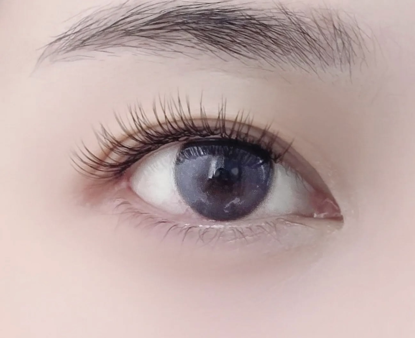 라온 온 대표 이미지