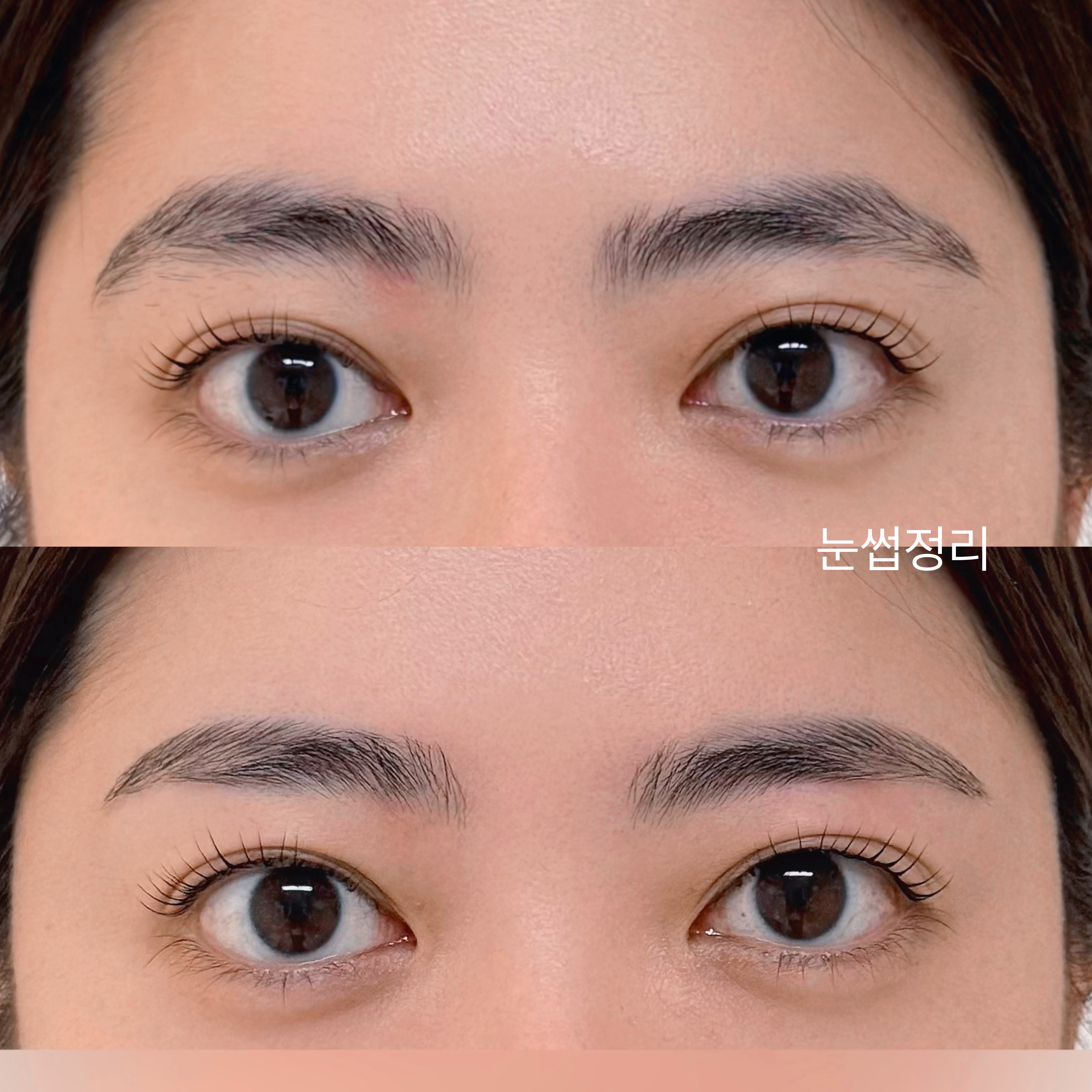 르솜브로우 대표 이미지