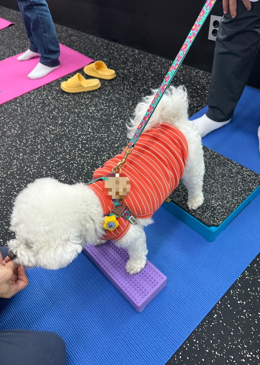 넌웰 아카데미 대표 이미지