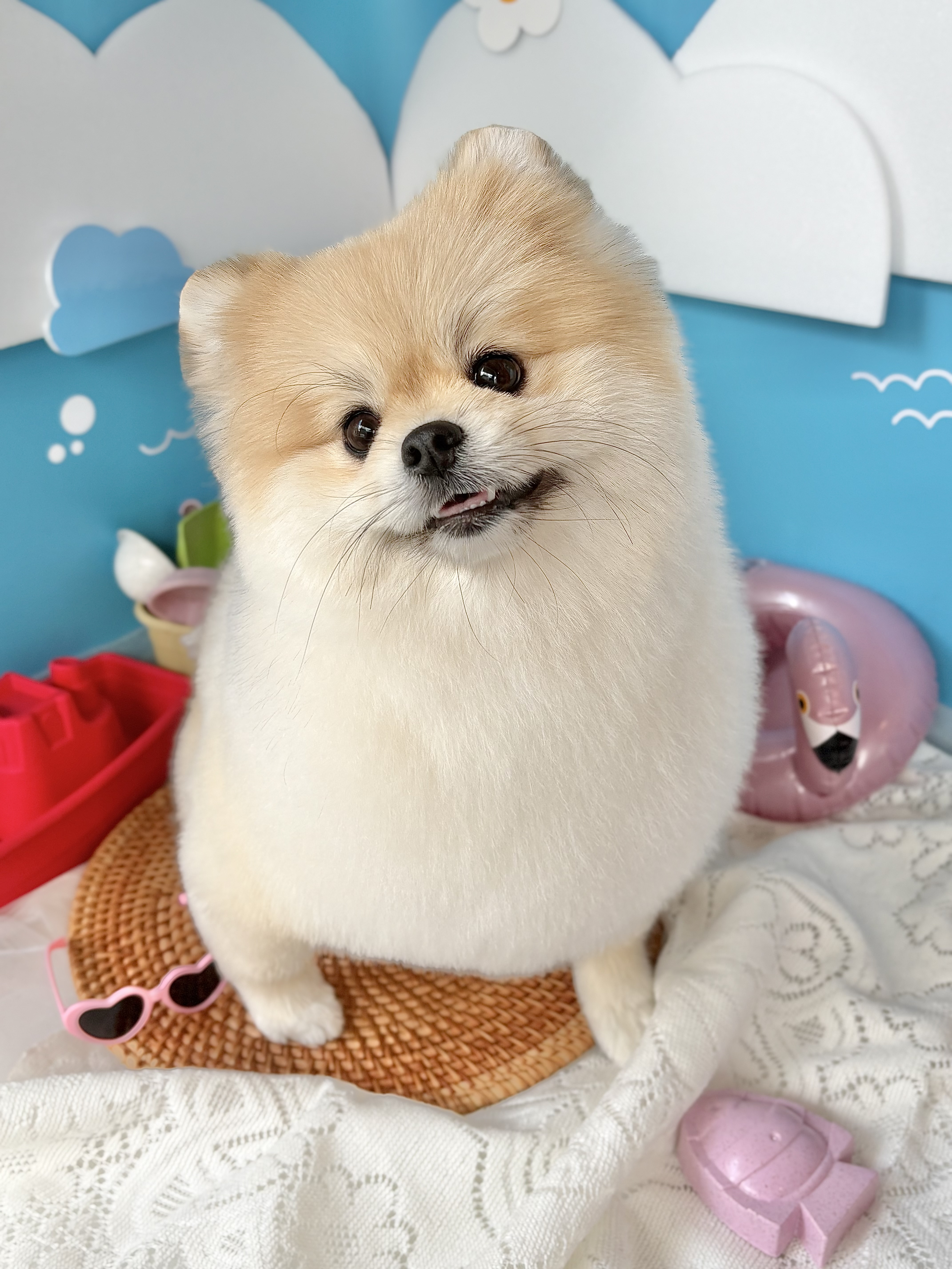 단독 대표 이미지