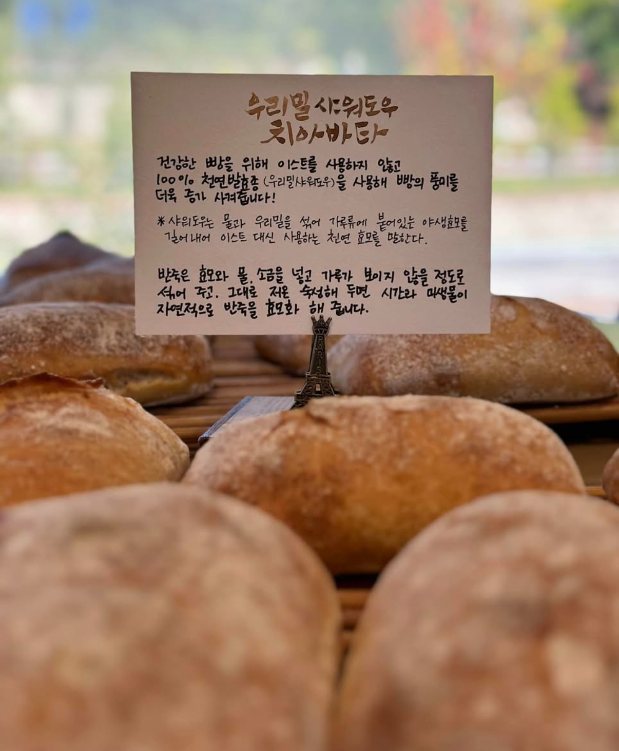 키카보니 2