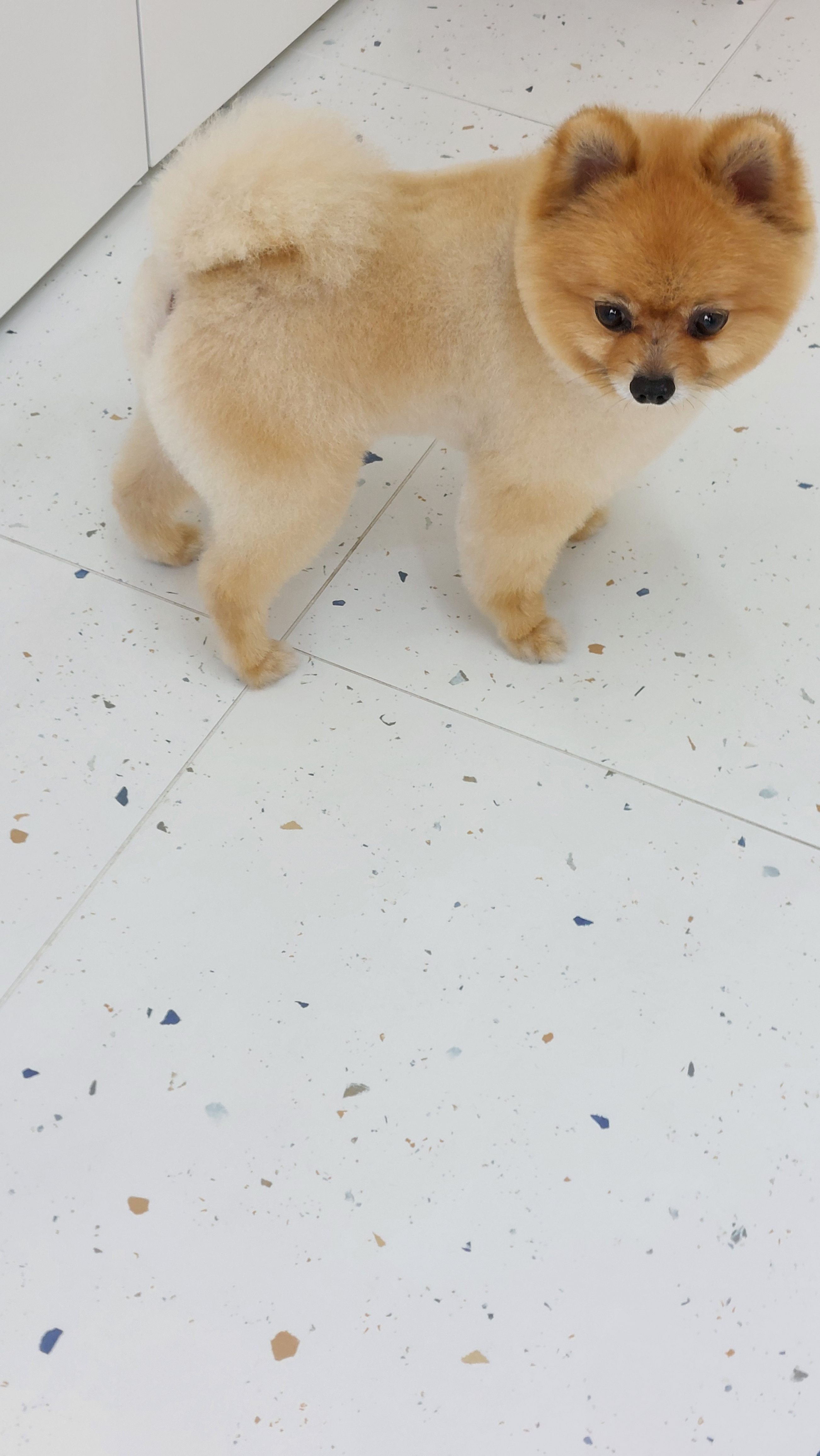 굿데이멍 대표 이미지