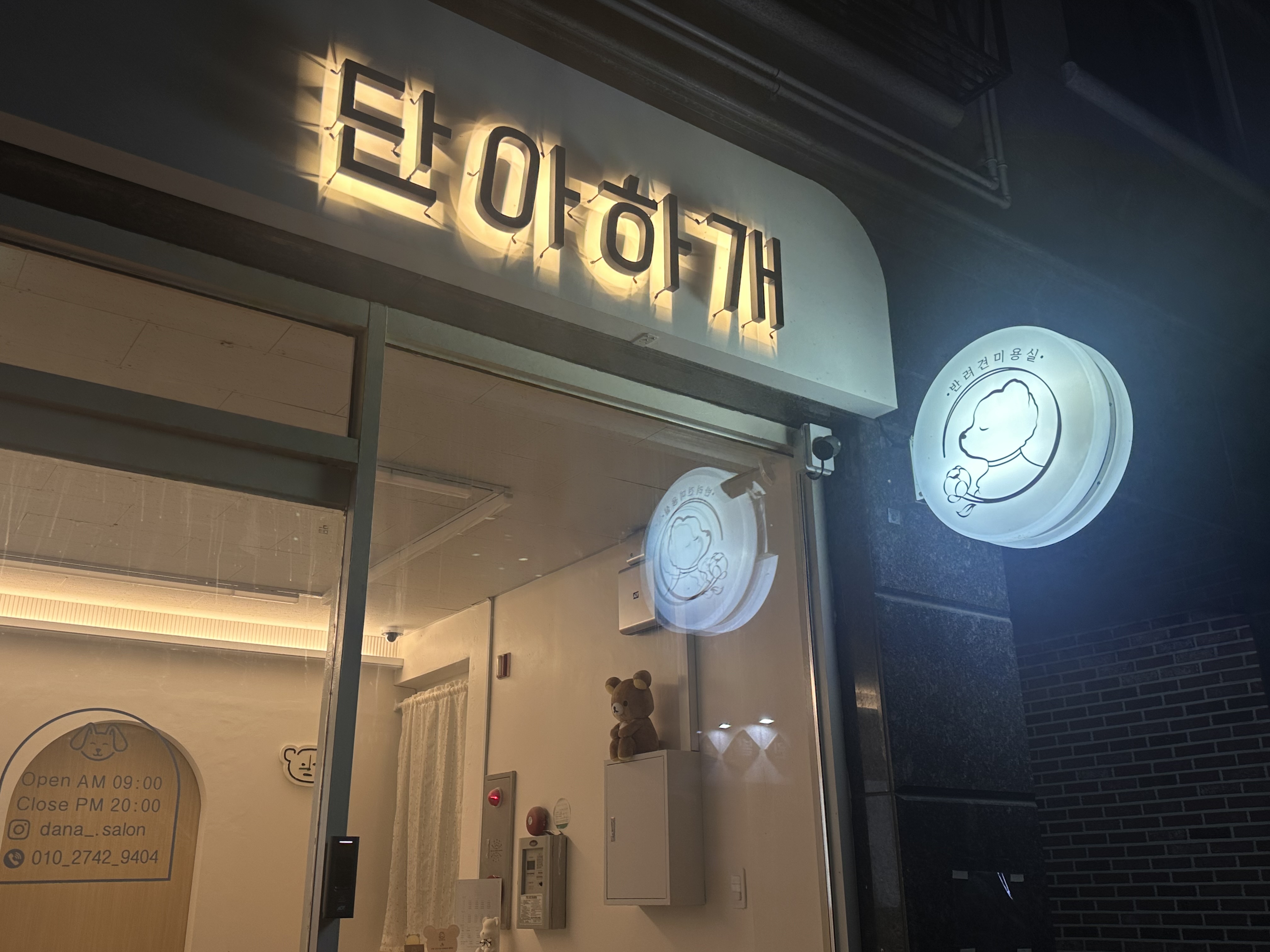 단아하개 대표 이미지