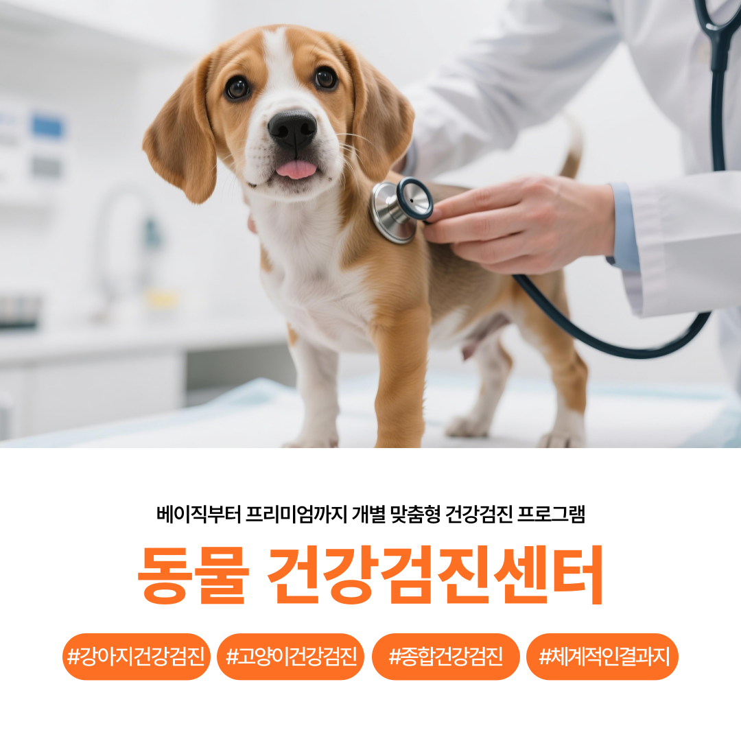 부산 24시 UN동물의료센터 대표 이미지