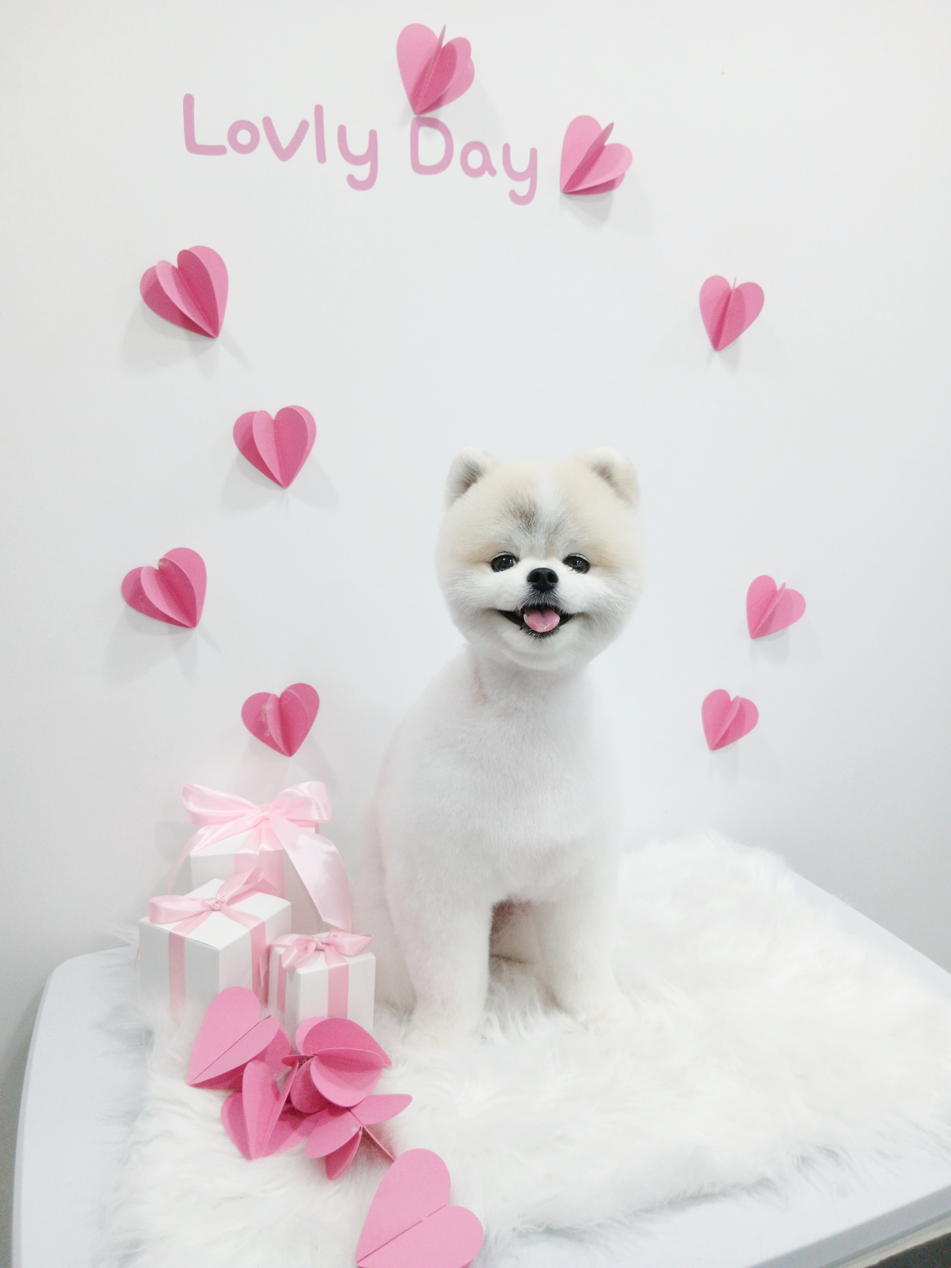 몽그라밍 대표 이미지