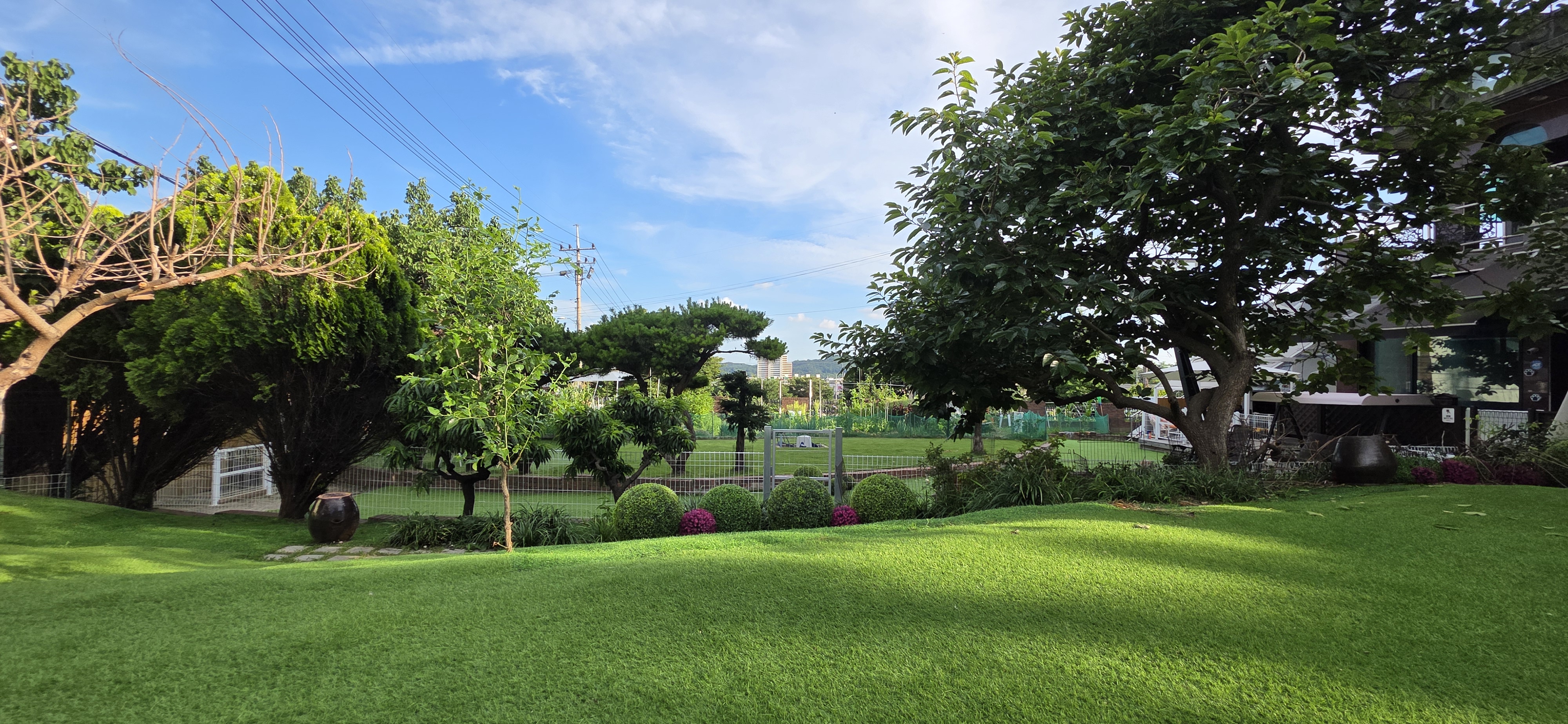 공항 가까운 전원주택 펫시터 대표 이미지