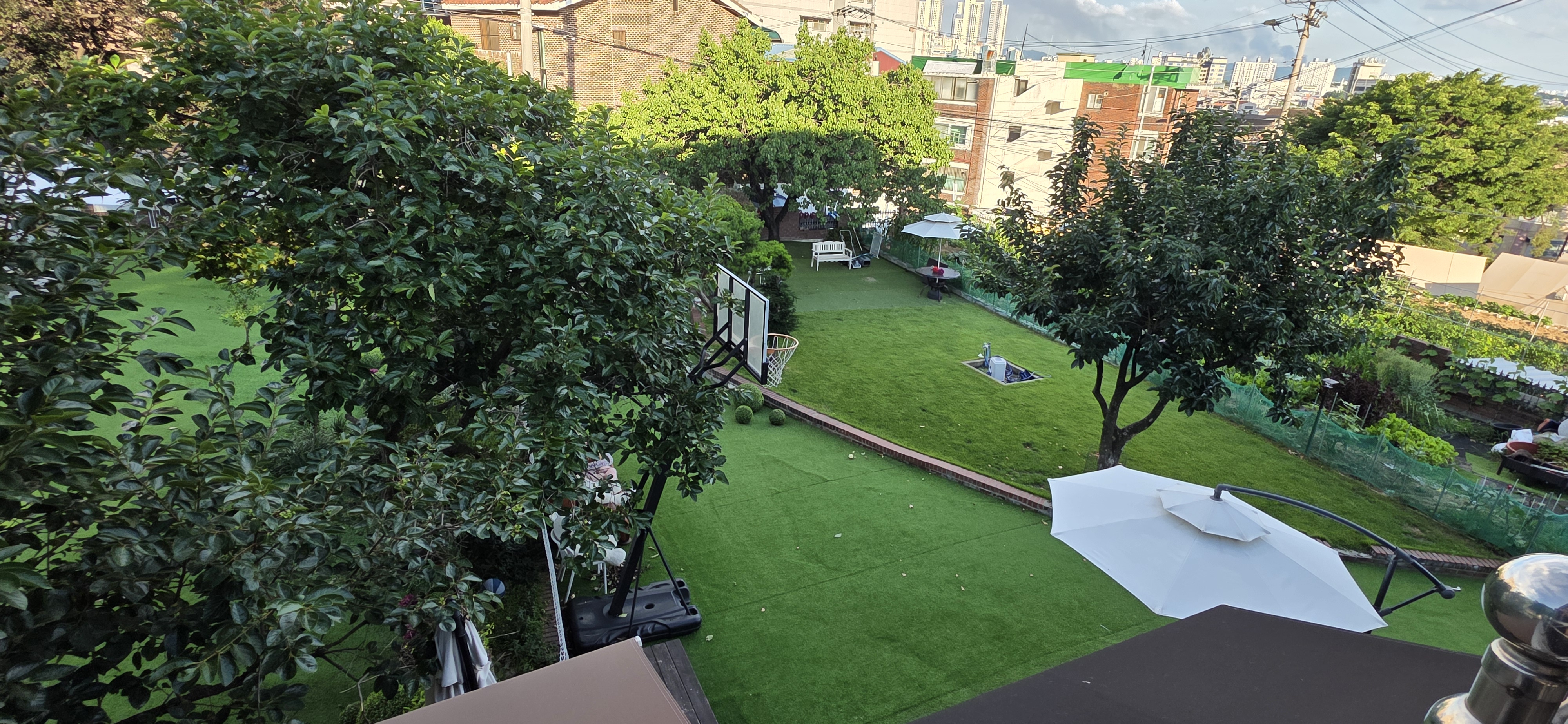 공항 가까운 전원주택 펫시터 대표 이미지 - 넓은 잔디마당