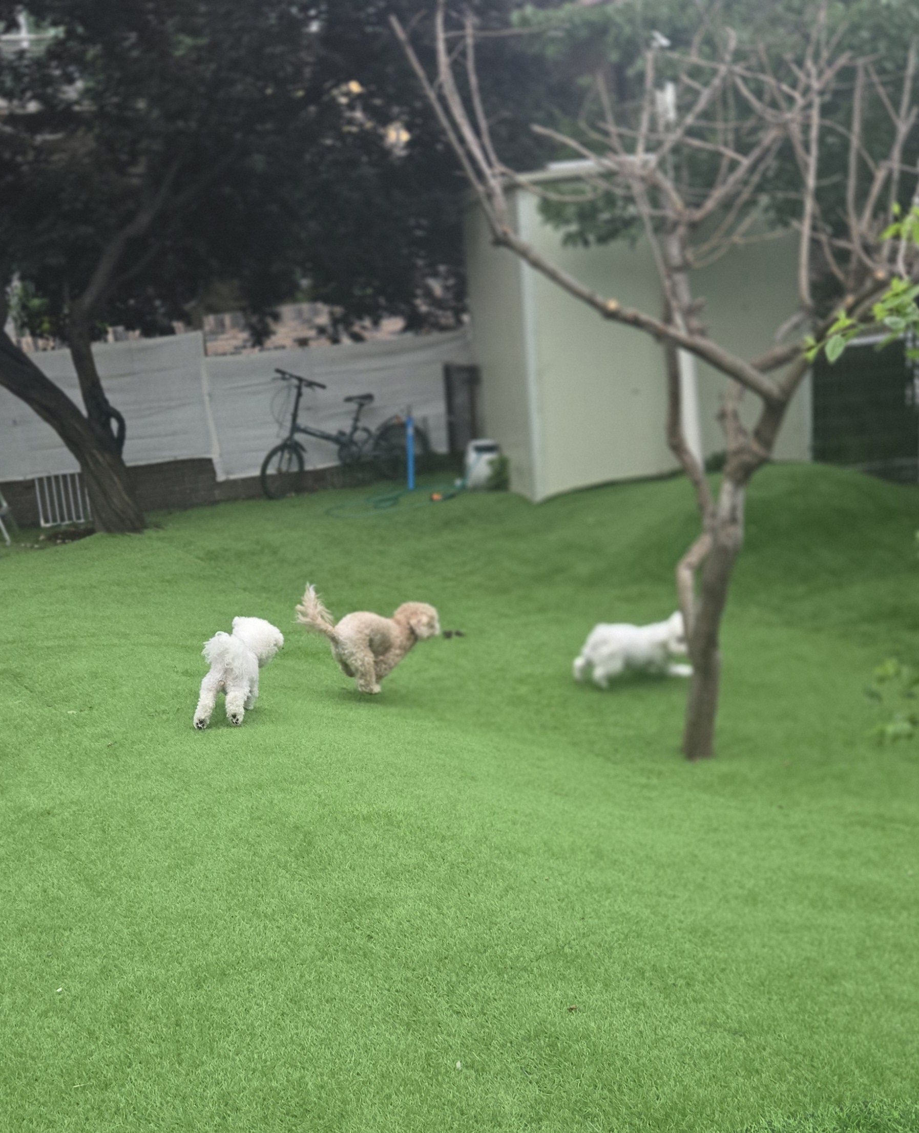 공항가까운전원주택펫시터 대표 이미지