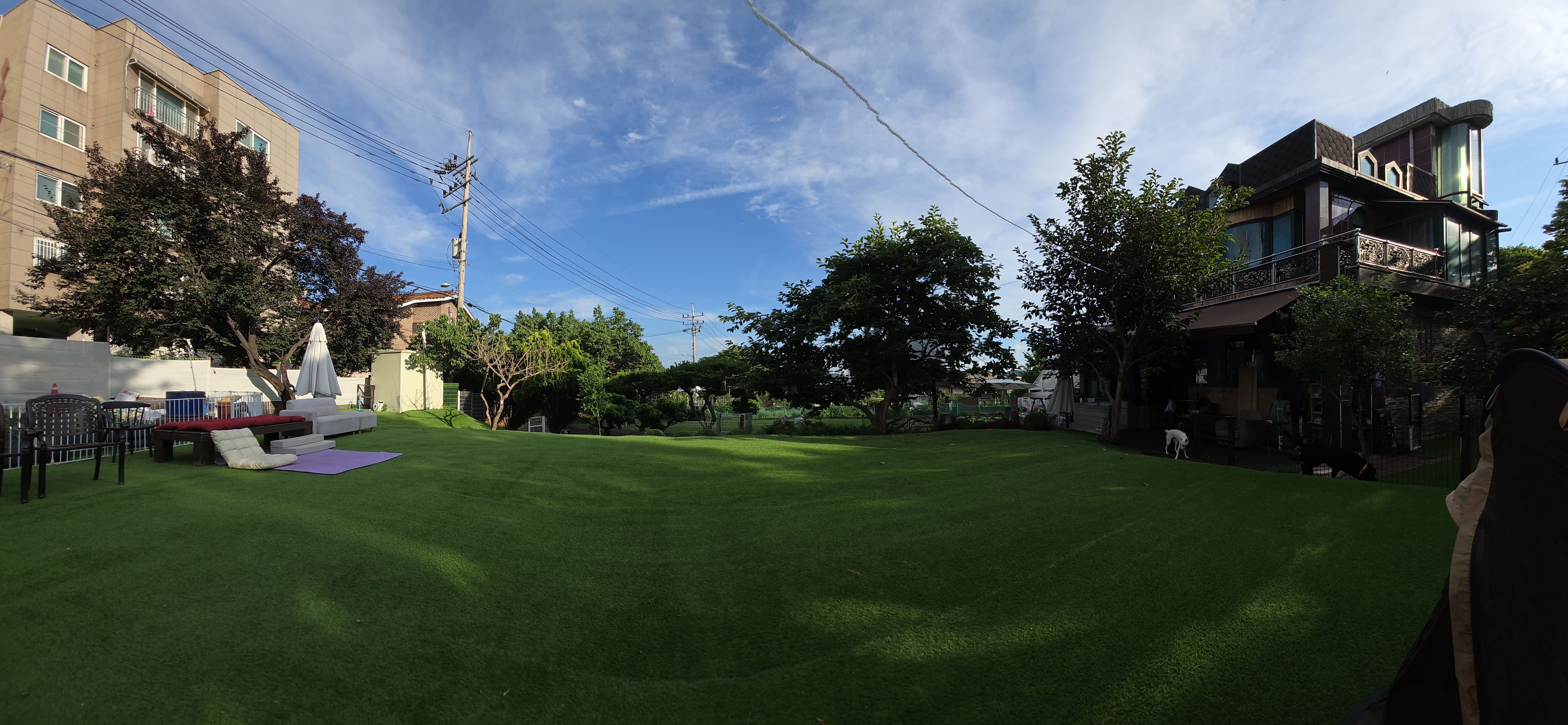 공항 가까운 전원주택 펫시터 대표 이미지