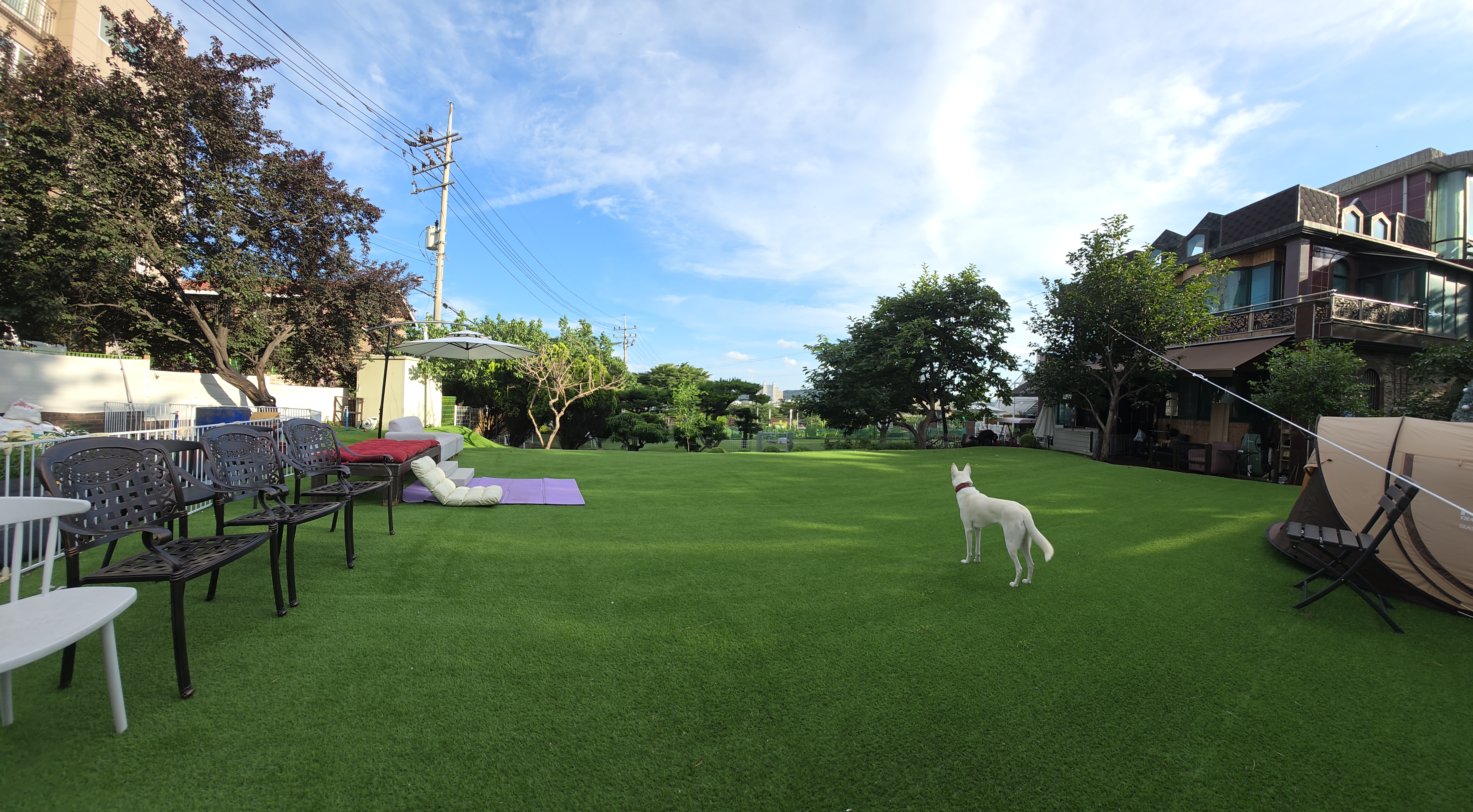 공항가까운전원주택펫시터 대표 이미지