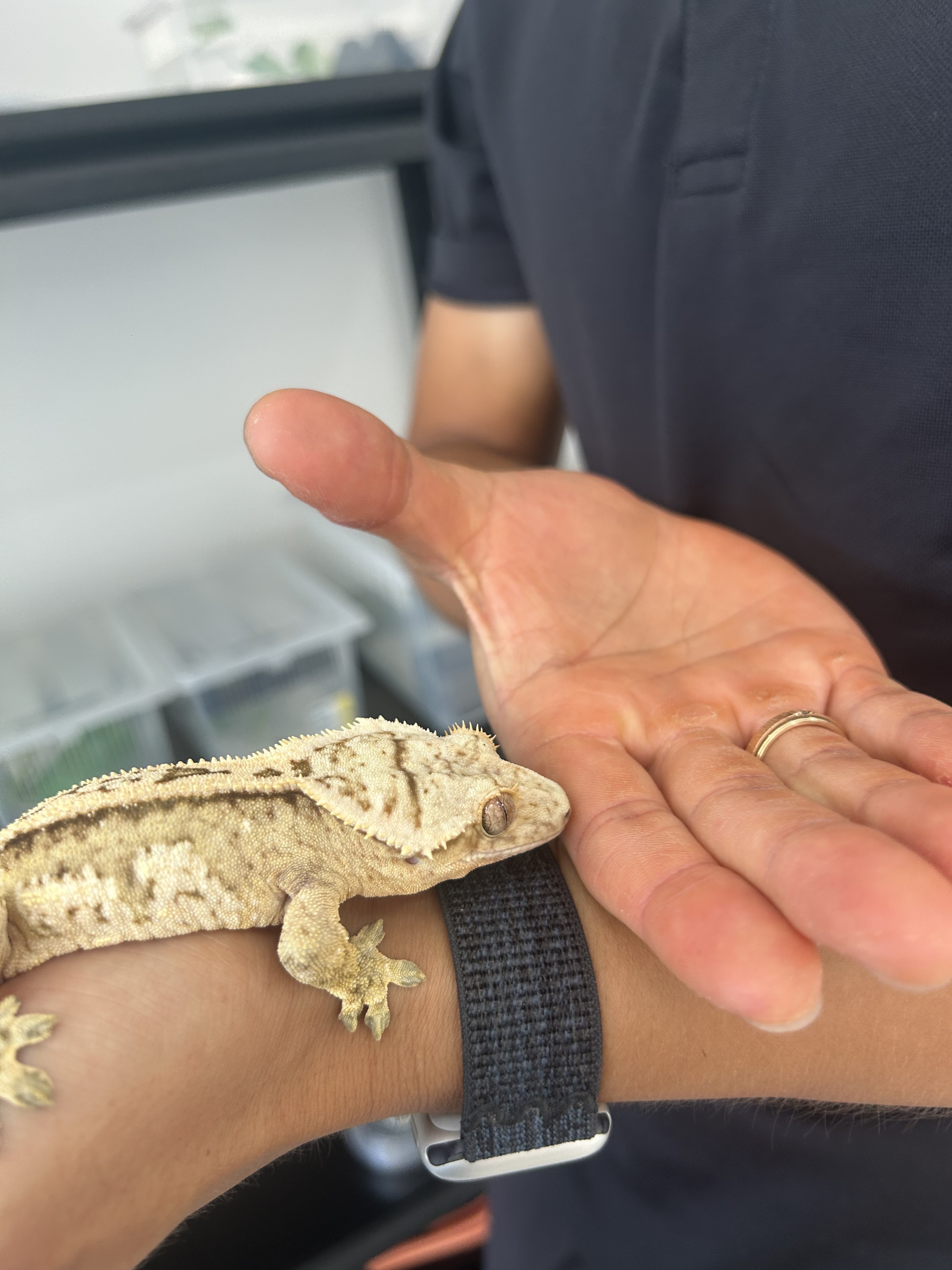 태산렙타일 대표 이미지