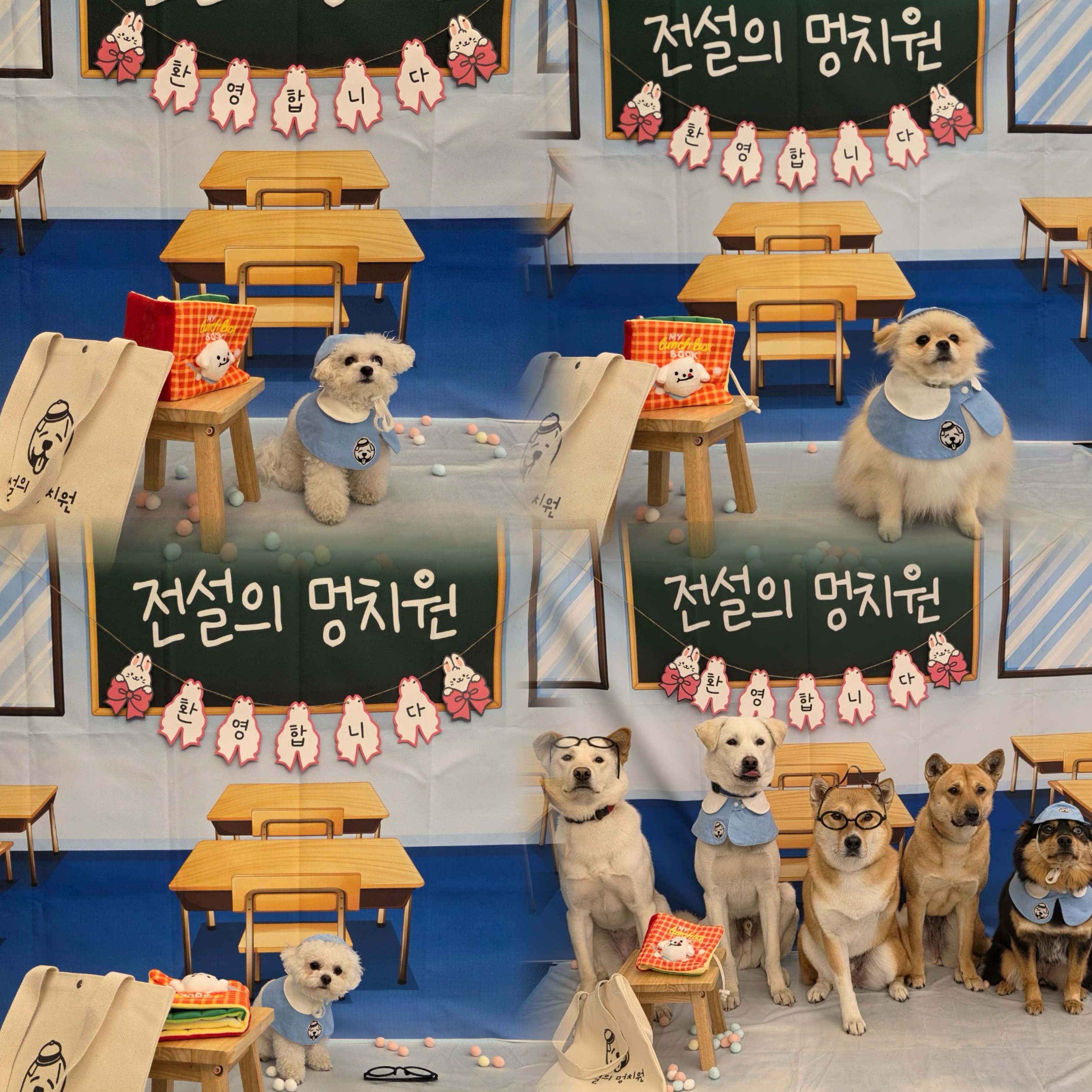 전설의강아지 대표 이미지