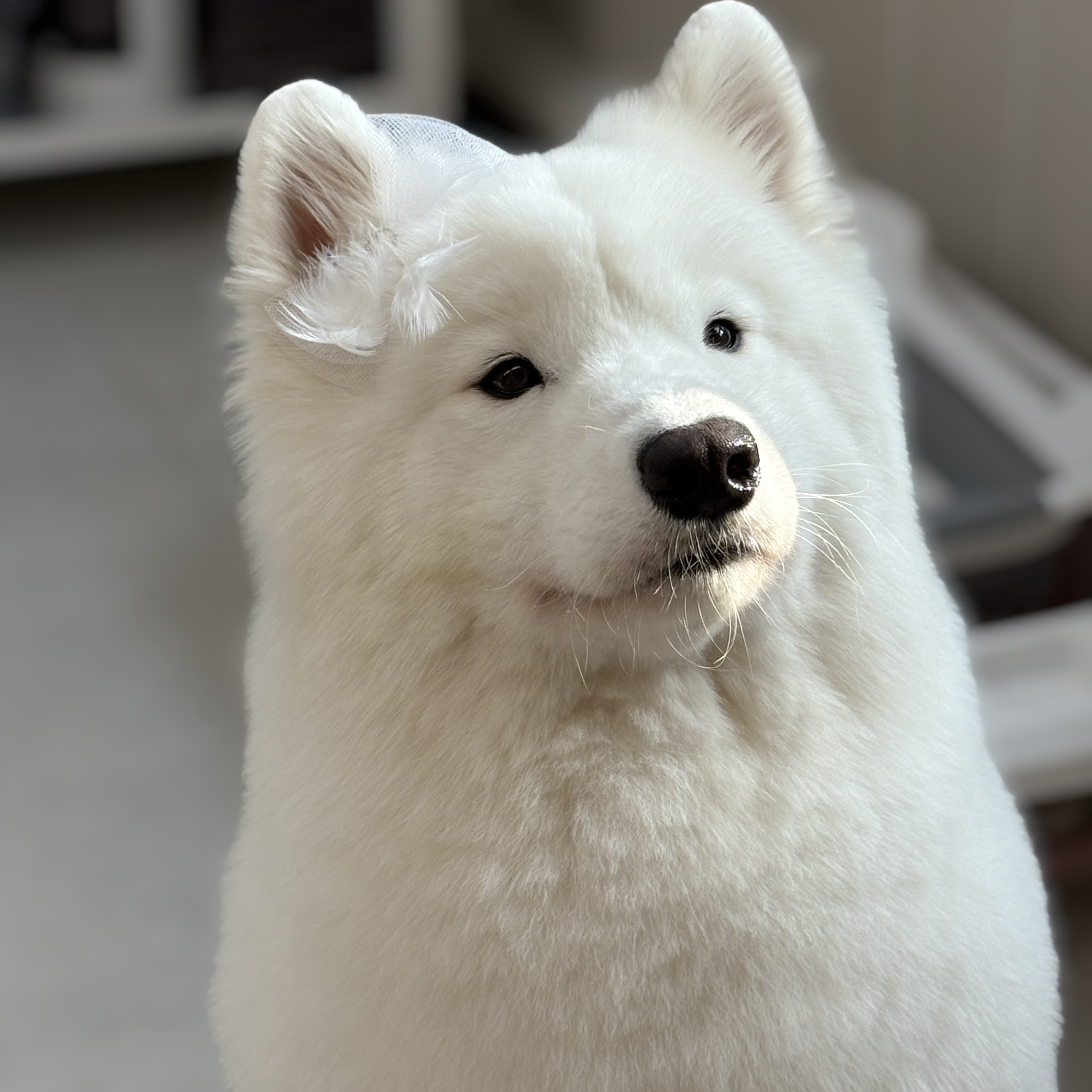 미용오개 대표 이미지