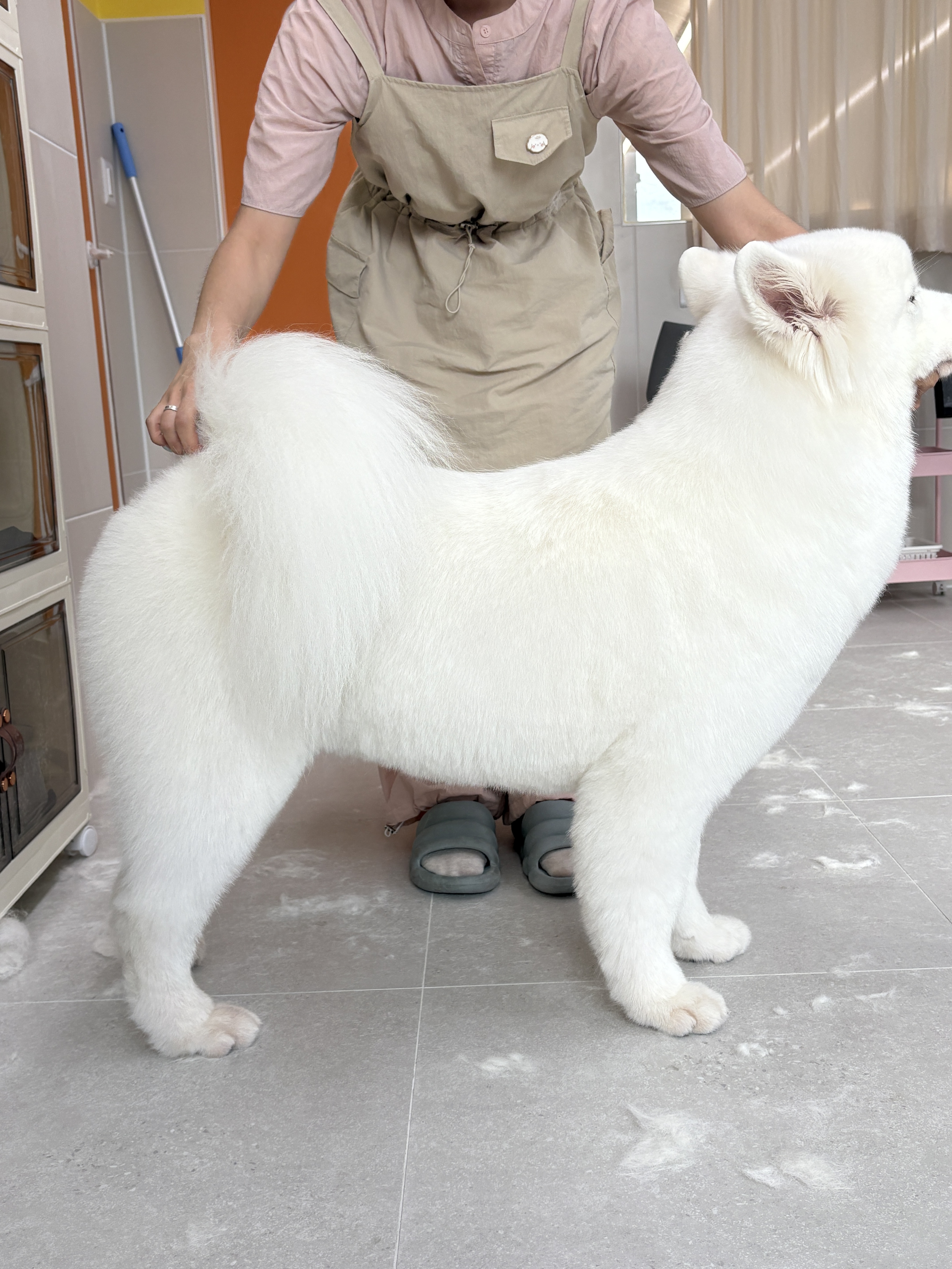 미용오개 대표 이미지