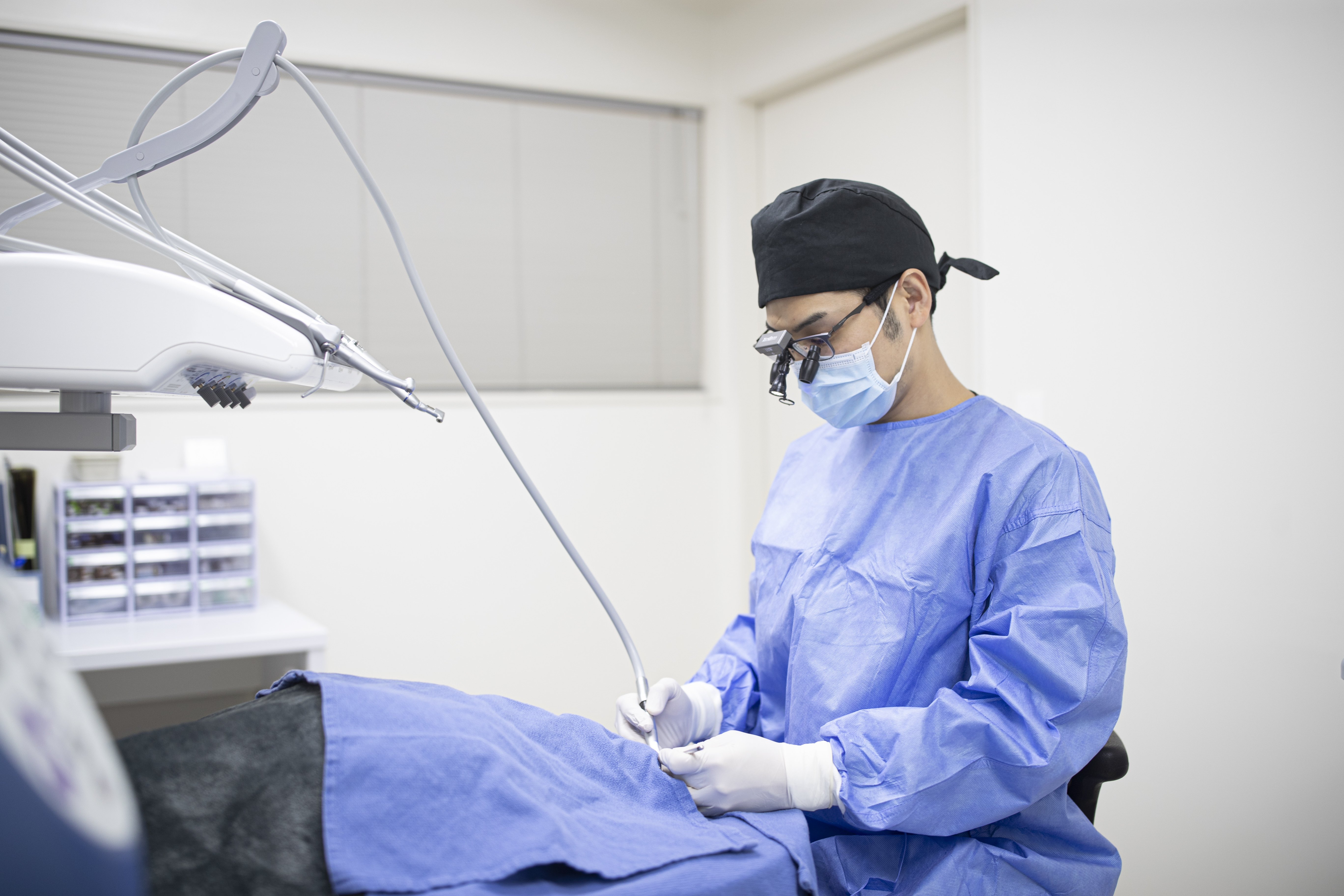 오복동물치과병원 대표 이미지