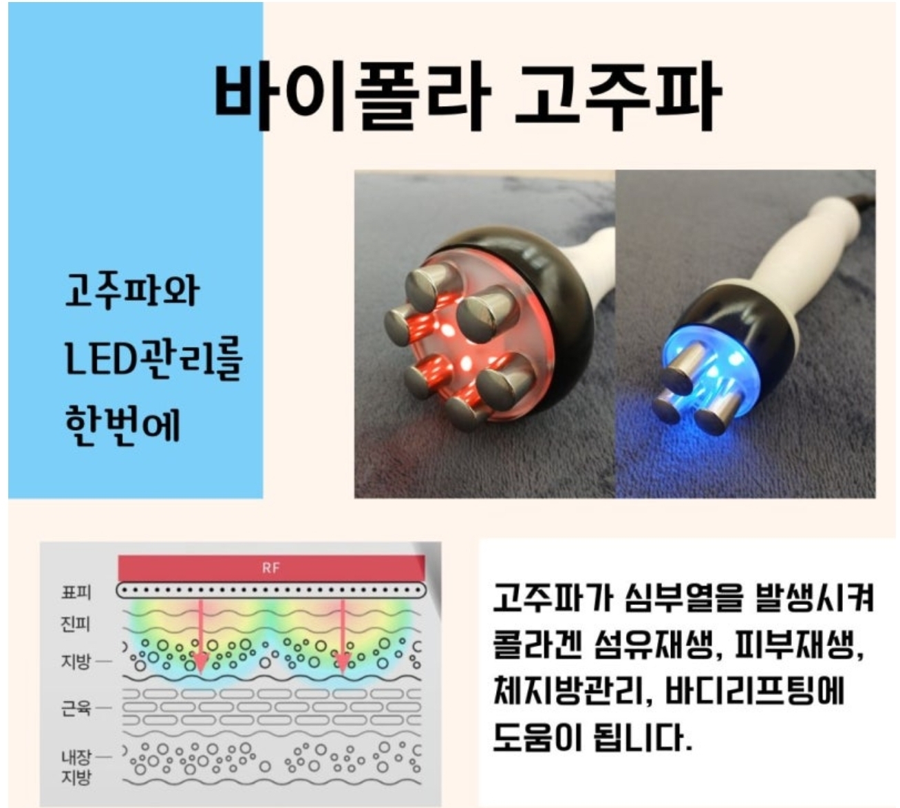 미그리다 photo 3