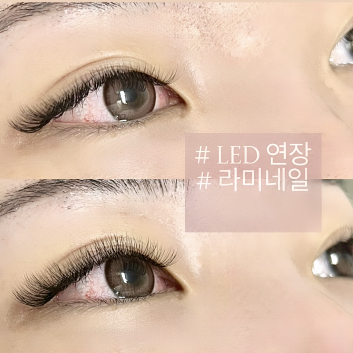 라미네일 대표 이미지