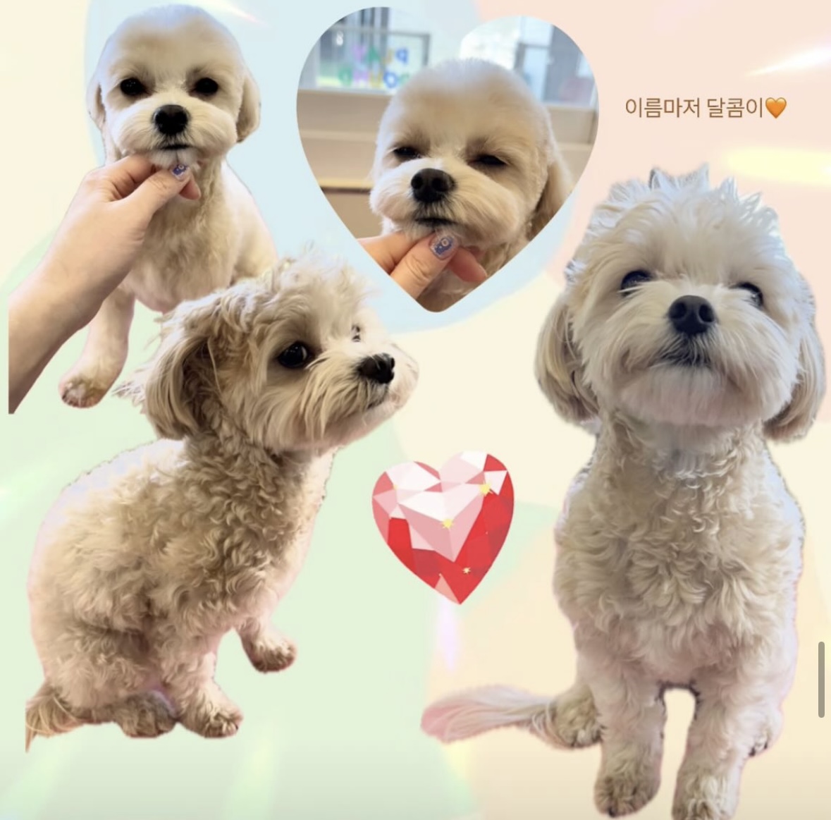 미스터멍 4