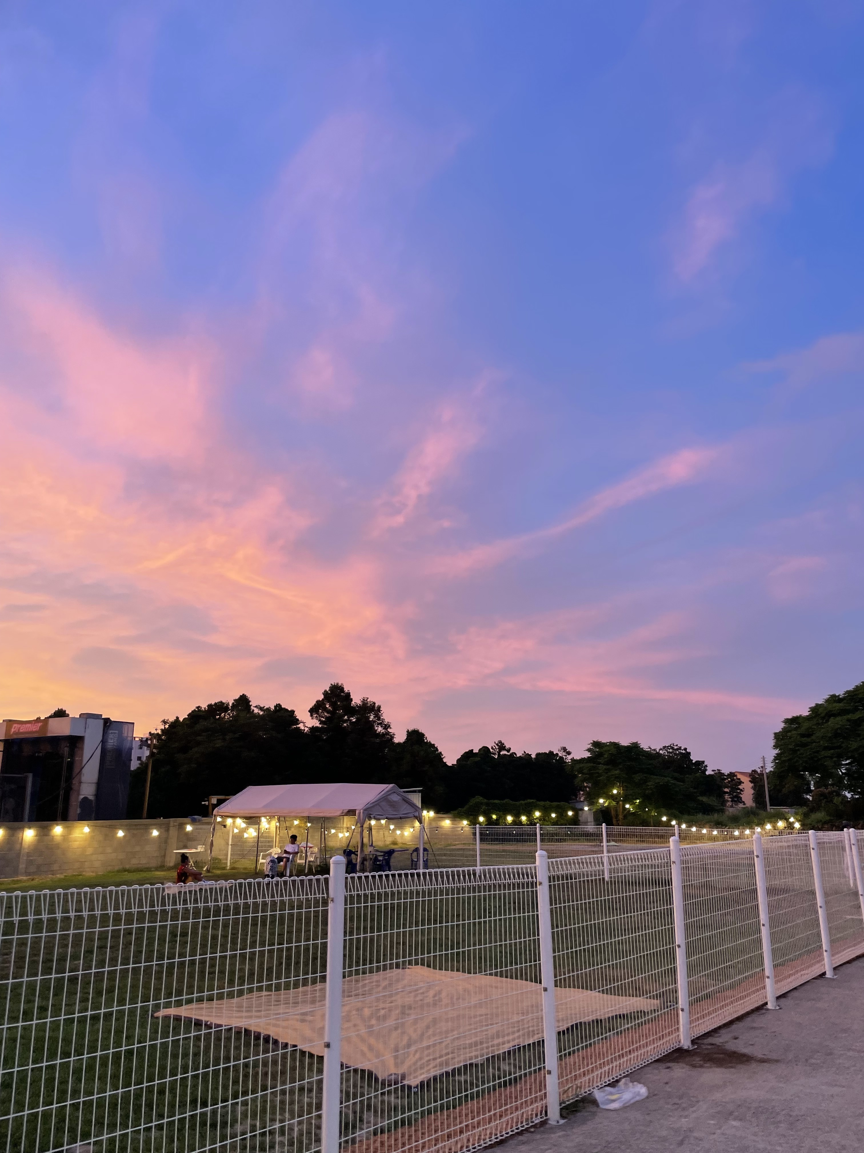 초록동산 제주 애견여행지