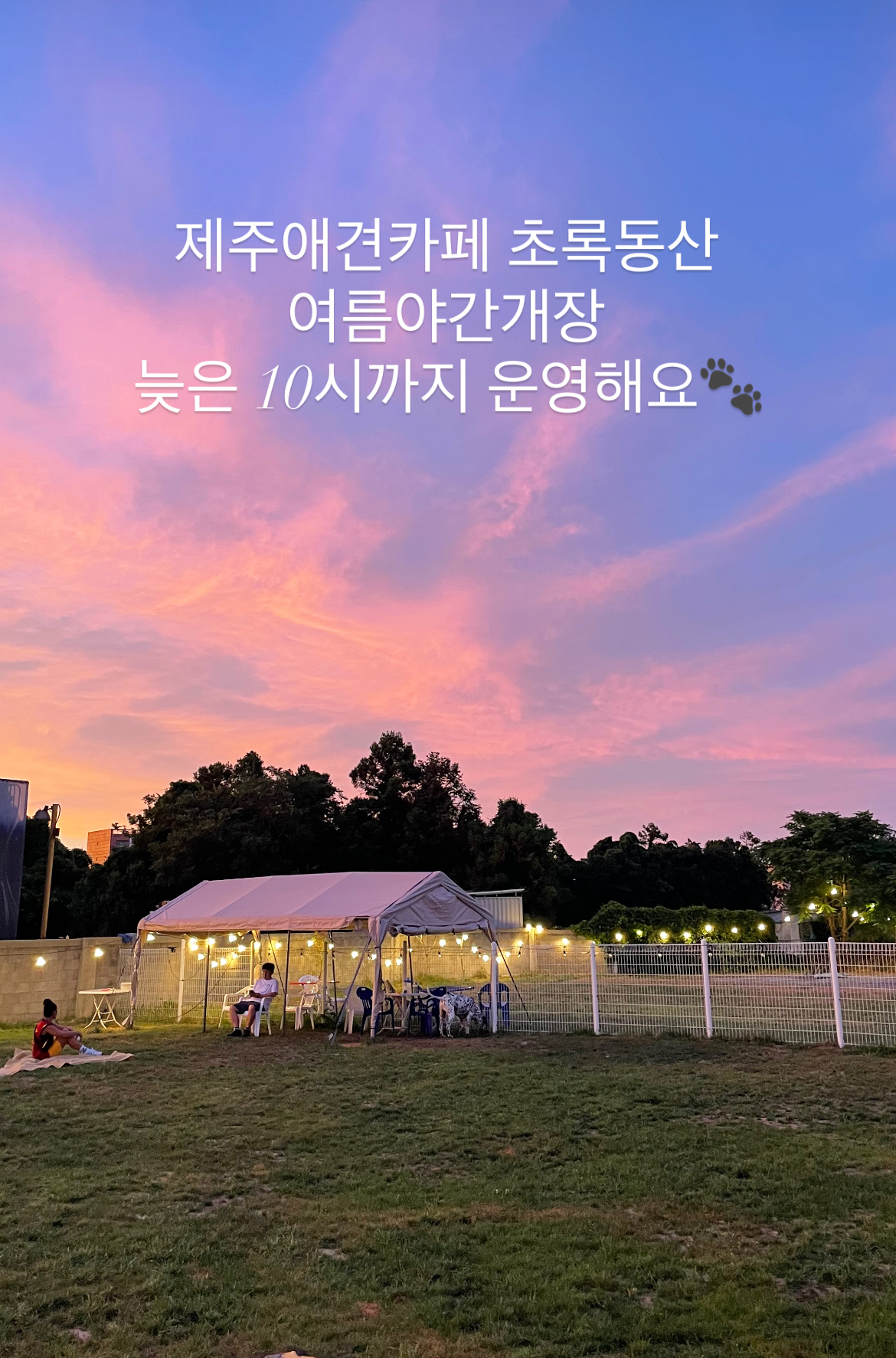 초록동산 2