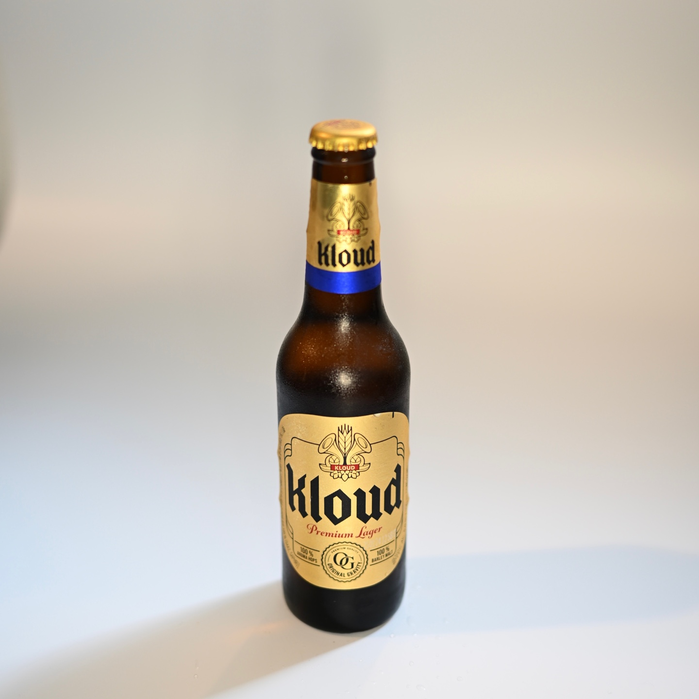 클라우드 병맥주 (330ml)