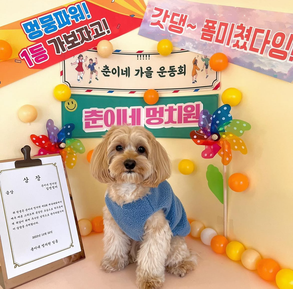 춘이네 멍치원 대표 이미지