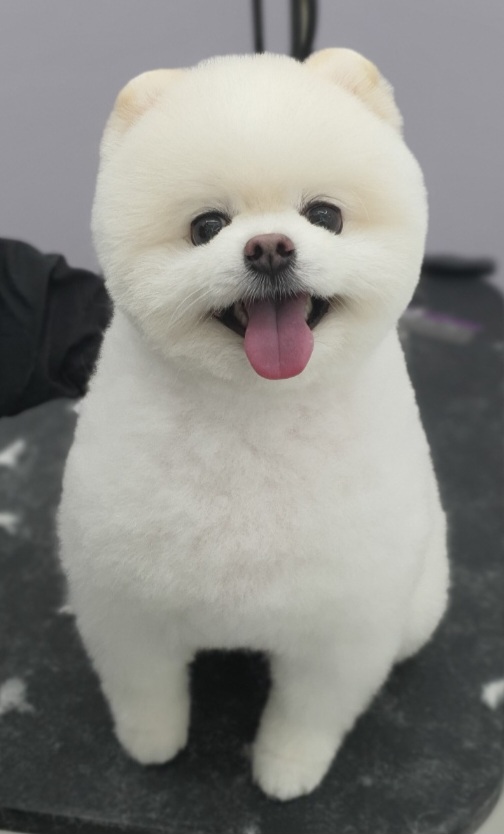 개모임 대표 이미지