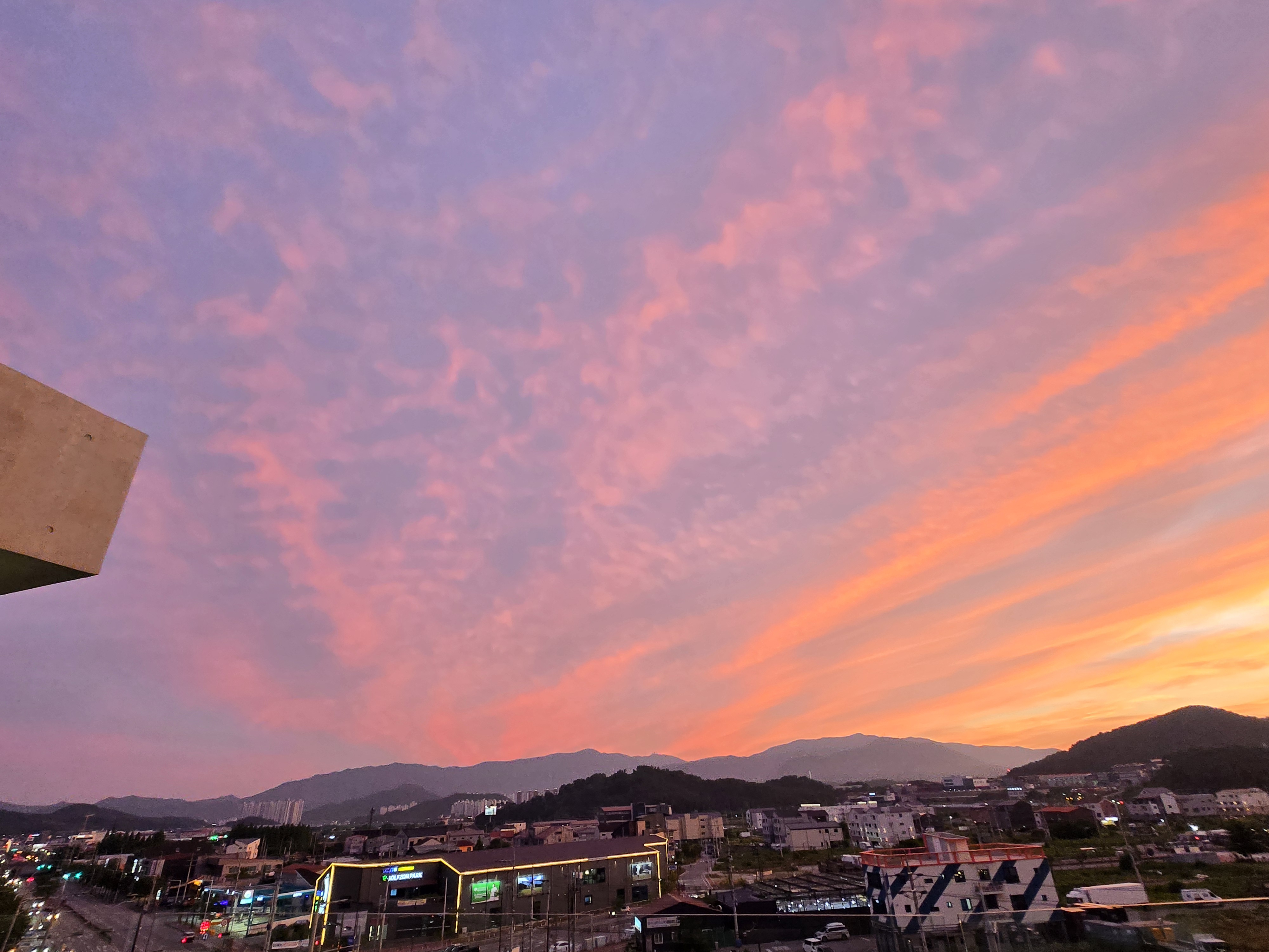 하우림 반려동물 동반 애견카페