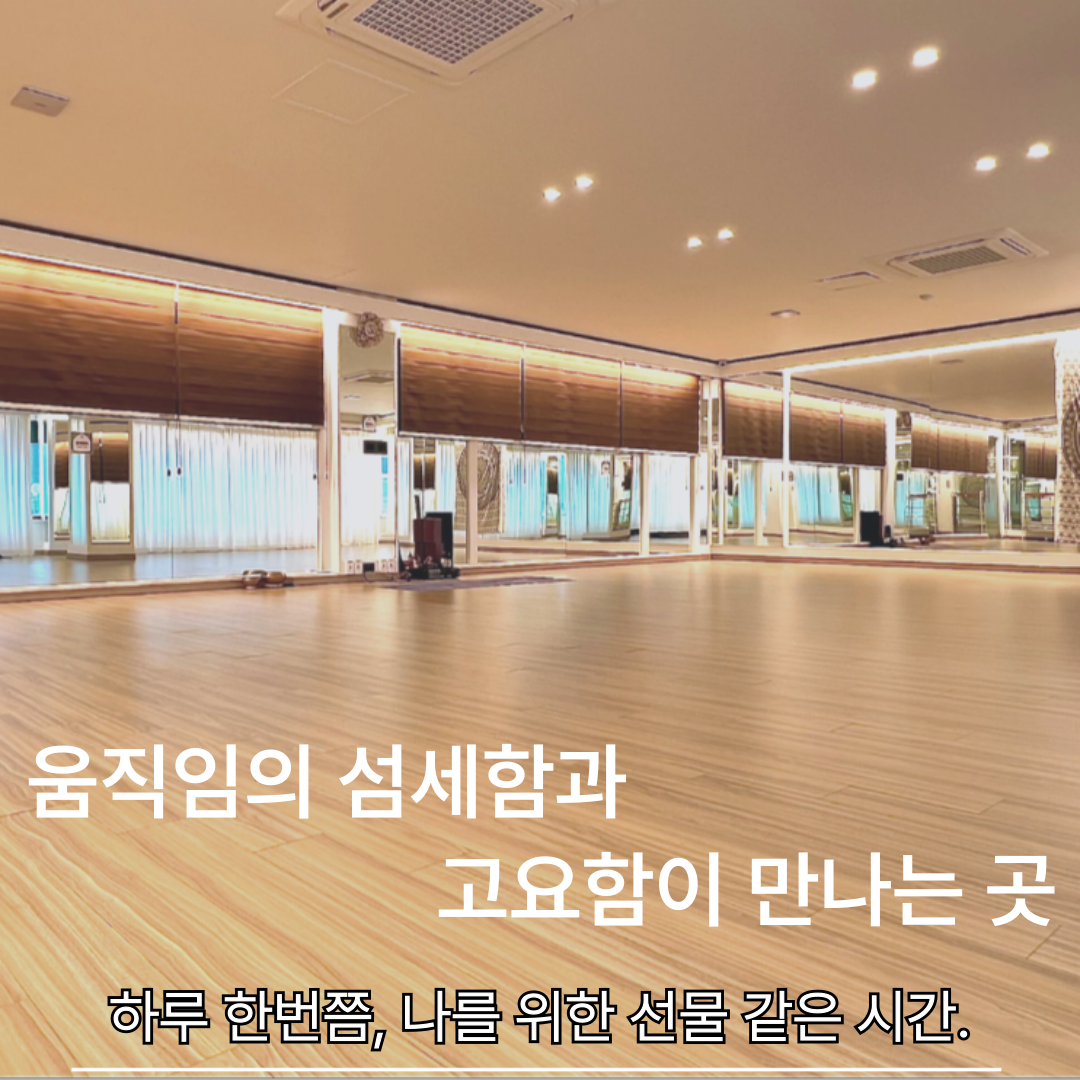 바디 앤 요가 대표 이미지