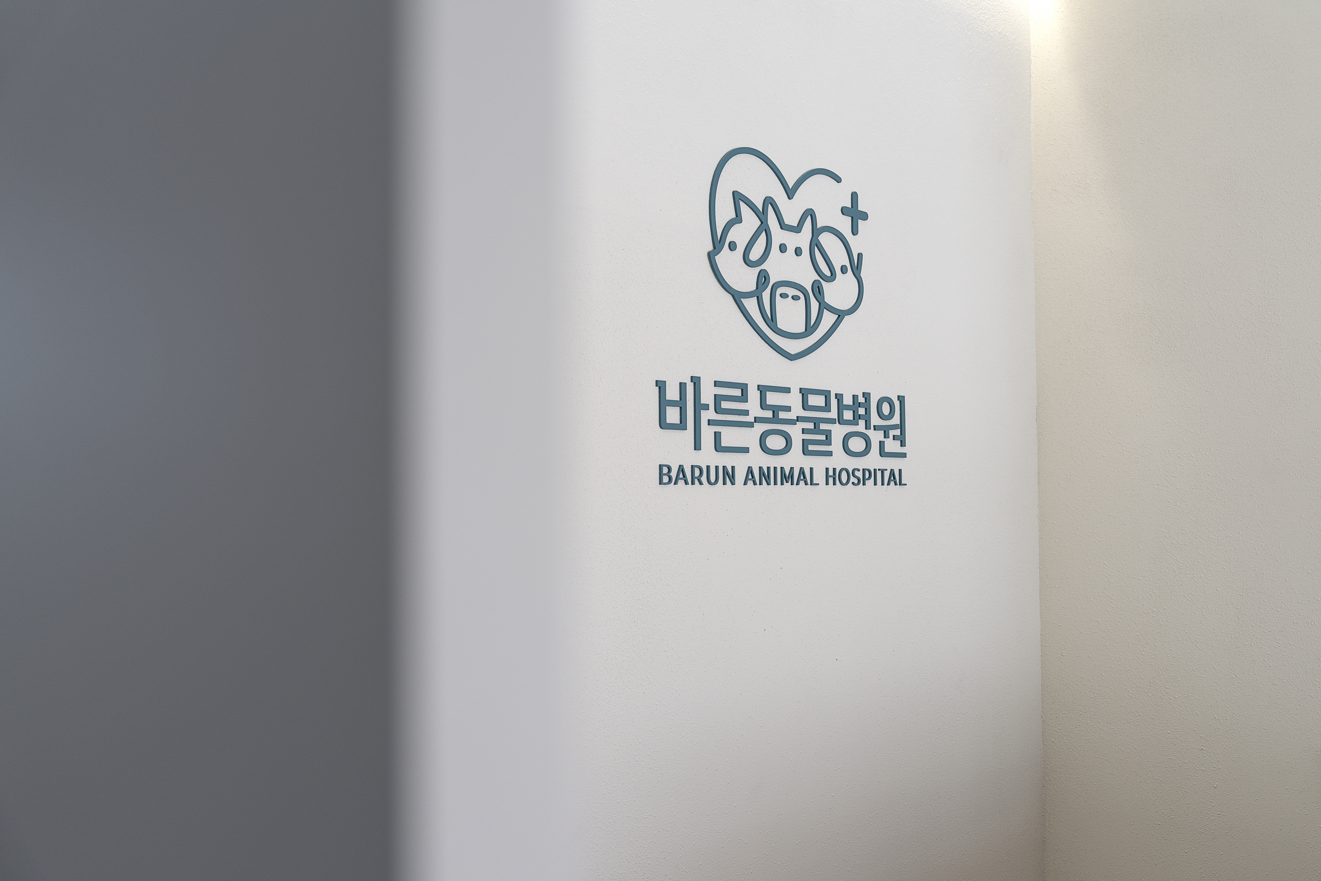 바른동물병원 대표 이미지