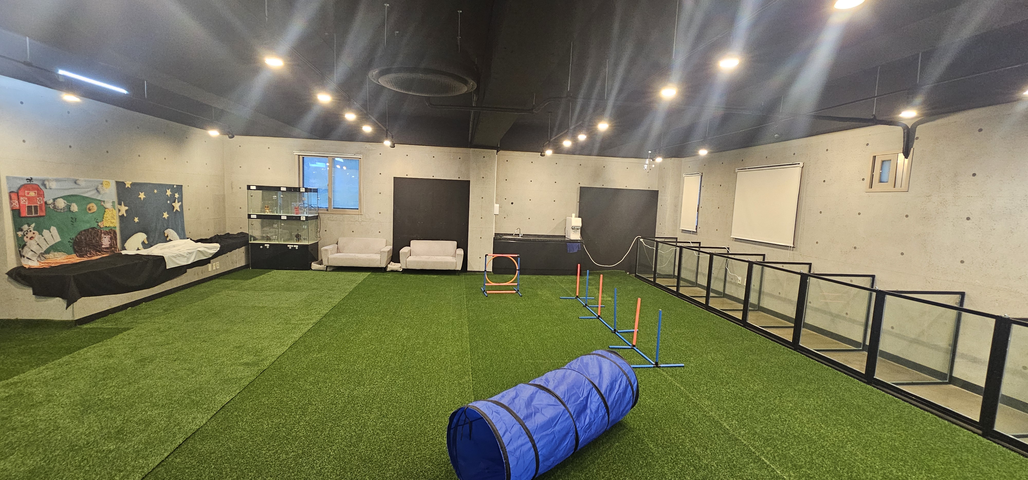 하트독 대표 이미지