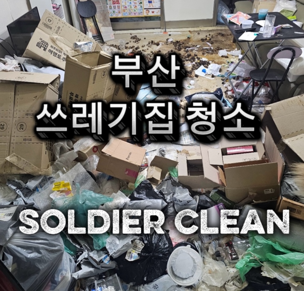 솔져클린 대표 이미지