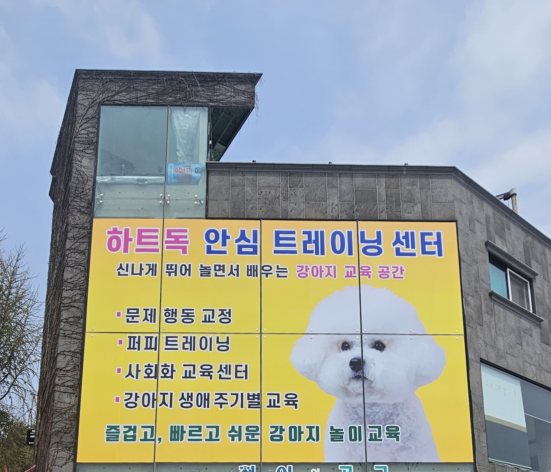 하트독 대표 이미지