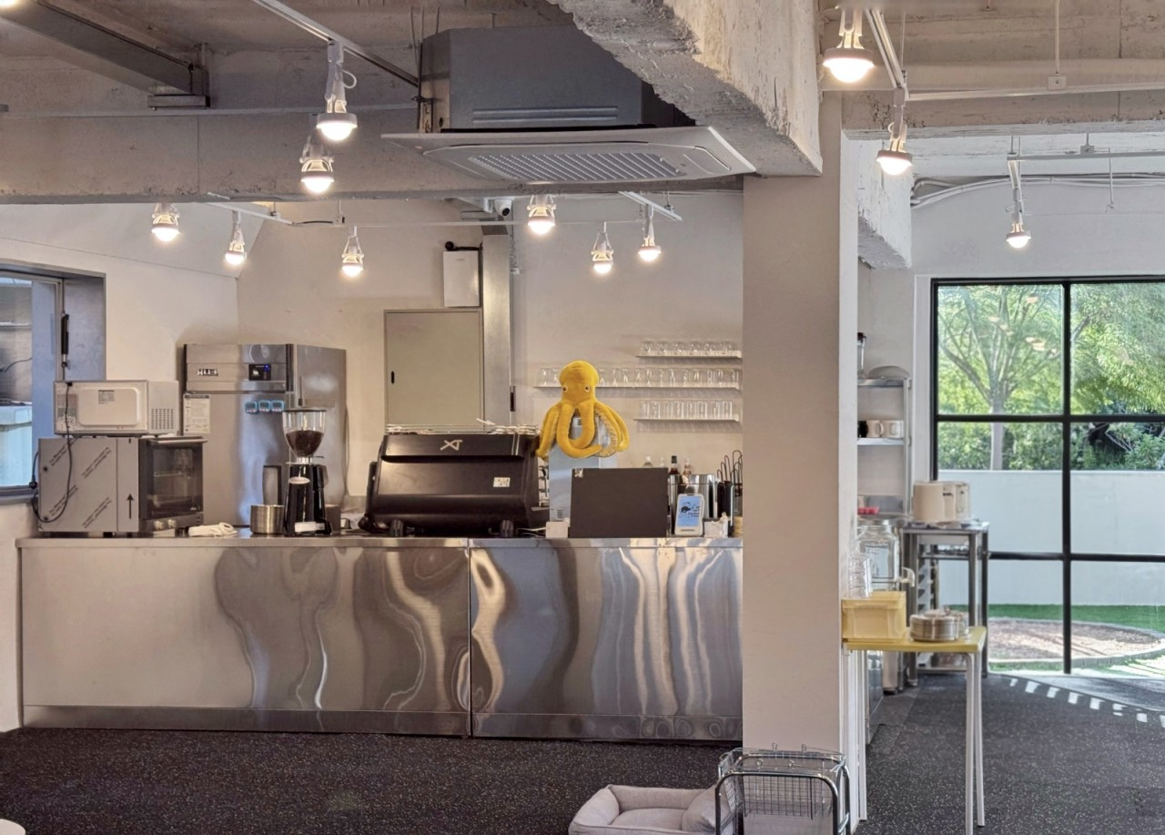 개굿타임 대표 이미지