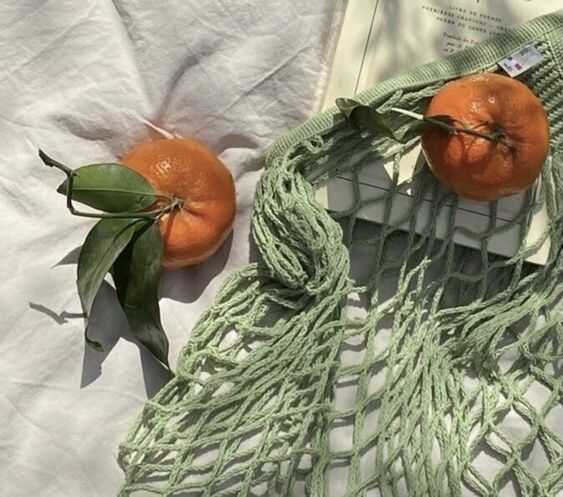하르