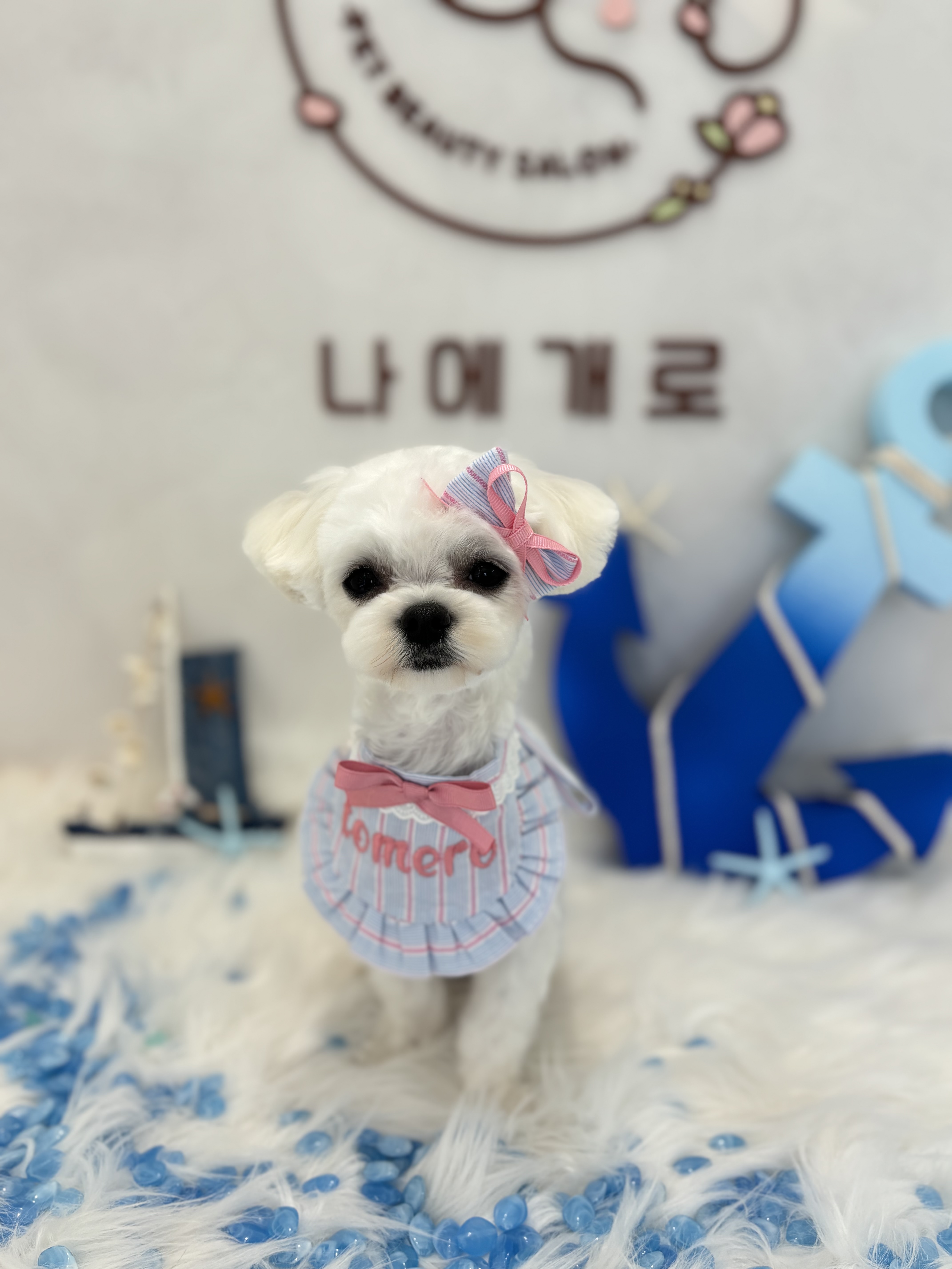 나에개로 대표 이미지