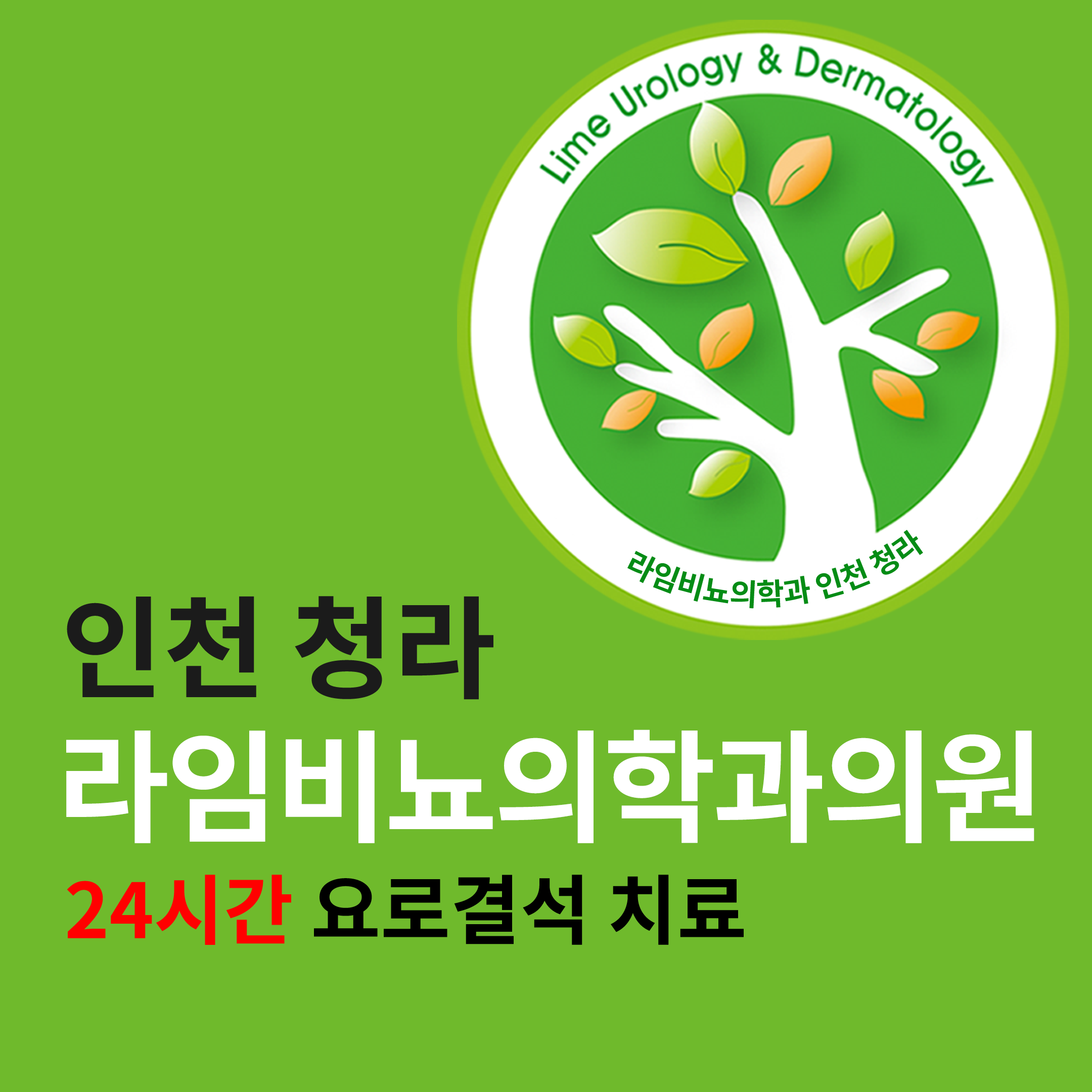 라임의원 청라점