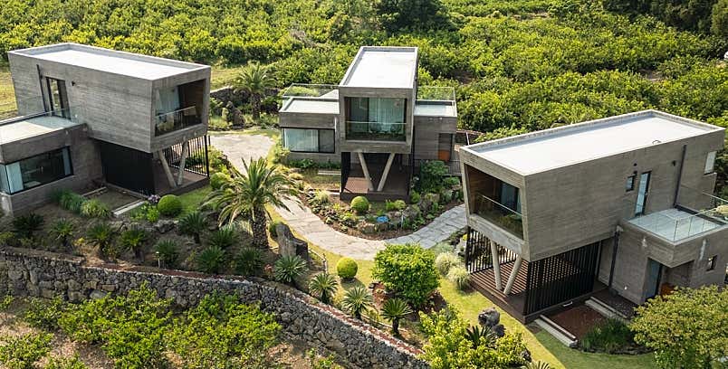 스테이더크로스 ?? ?? ?? ??