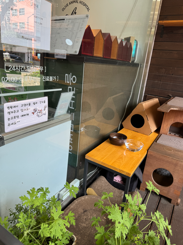 올리브동물병원 대표 이미지